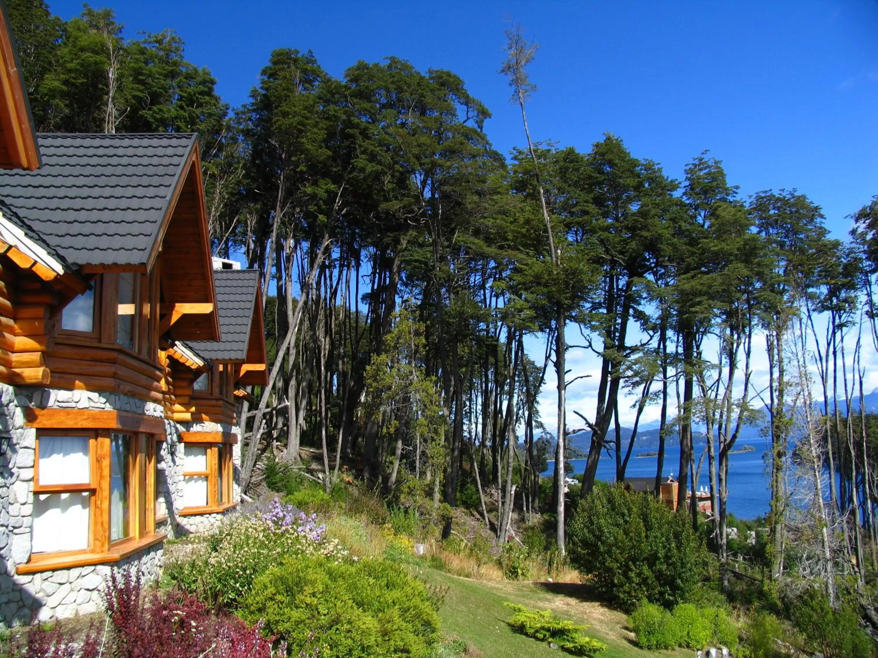 Property building in Amigos del Bosque