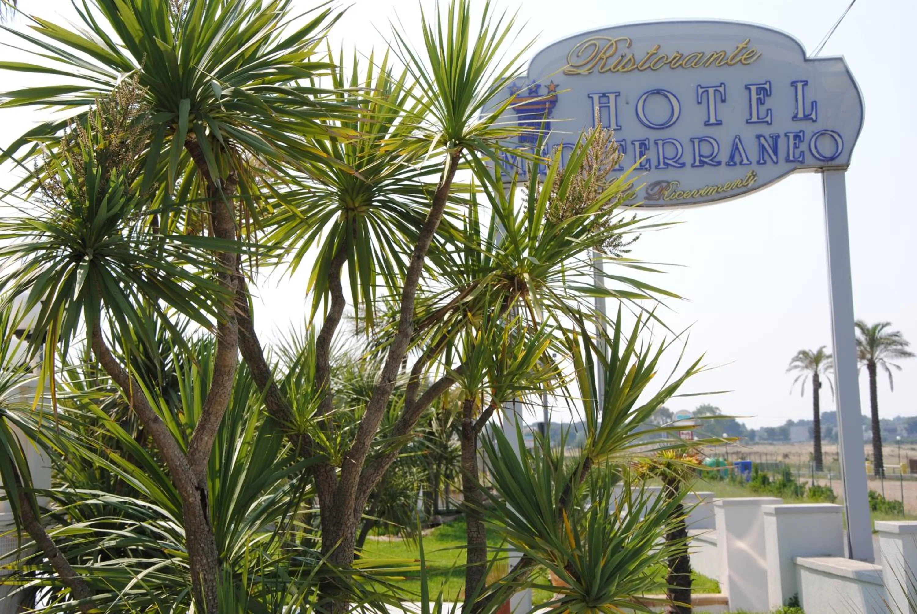 Garden in Hotel Mediterraneo