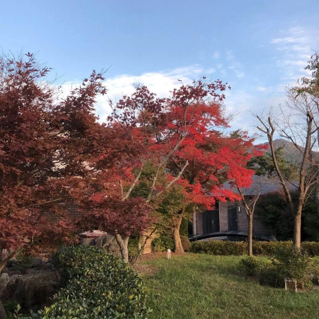 Property Building in Hoshi no Sato
