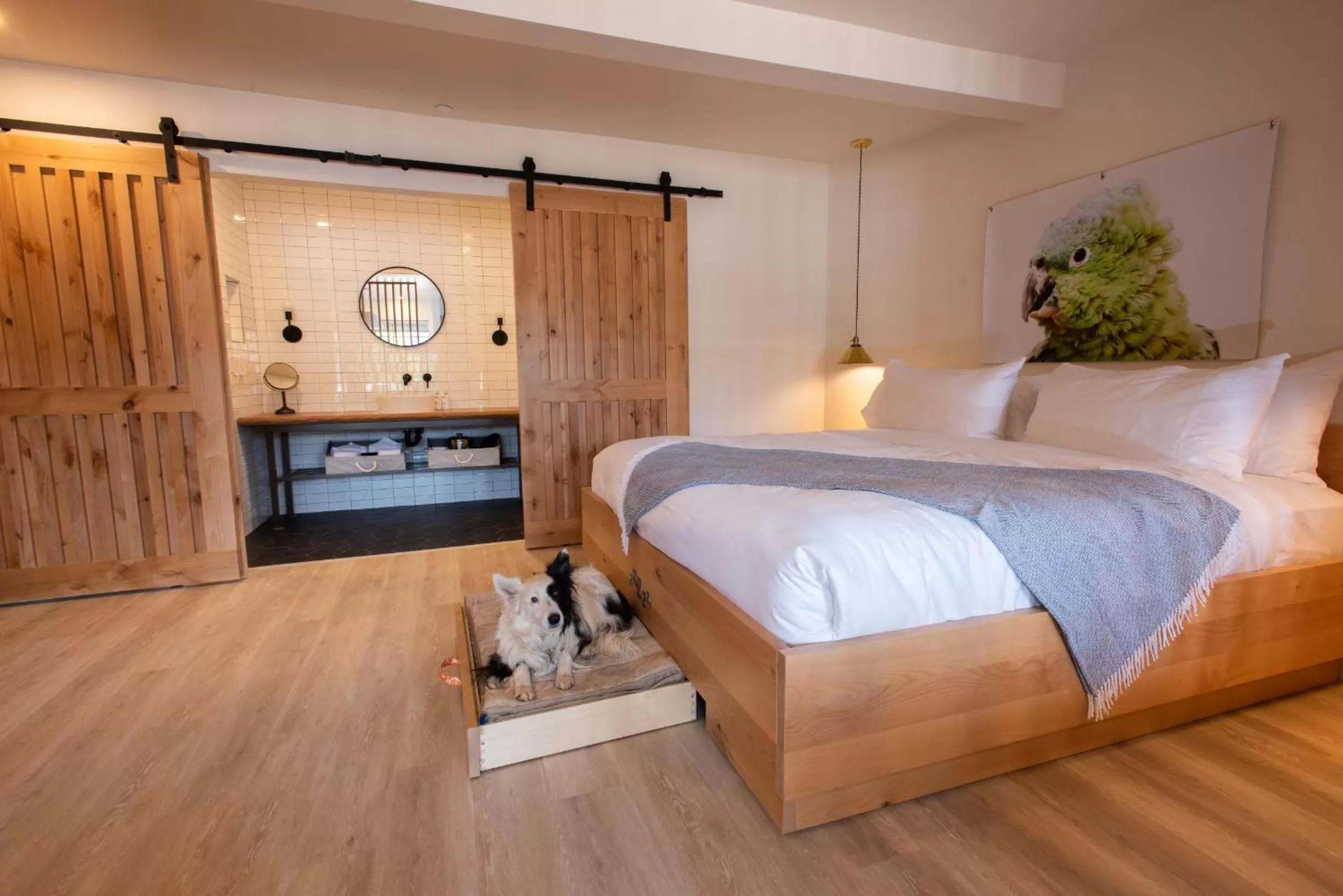 Bed in Best Friends Roadhouse and Mercantile