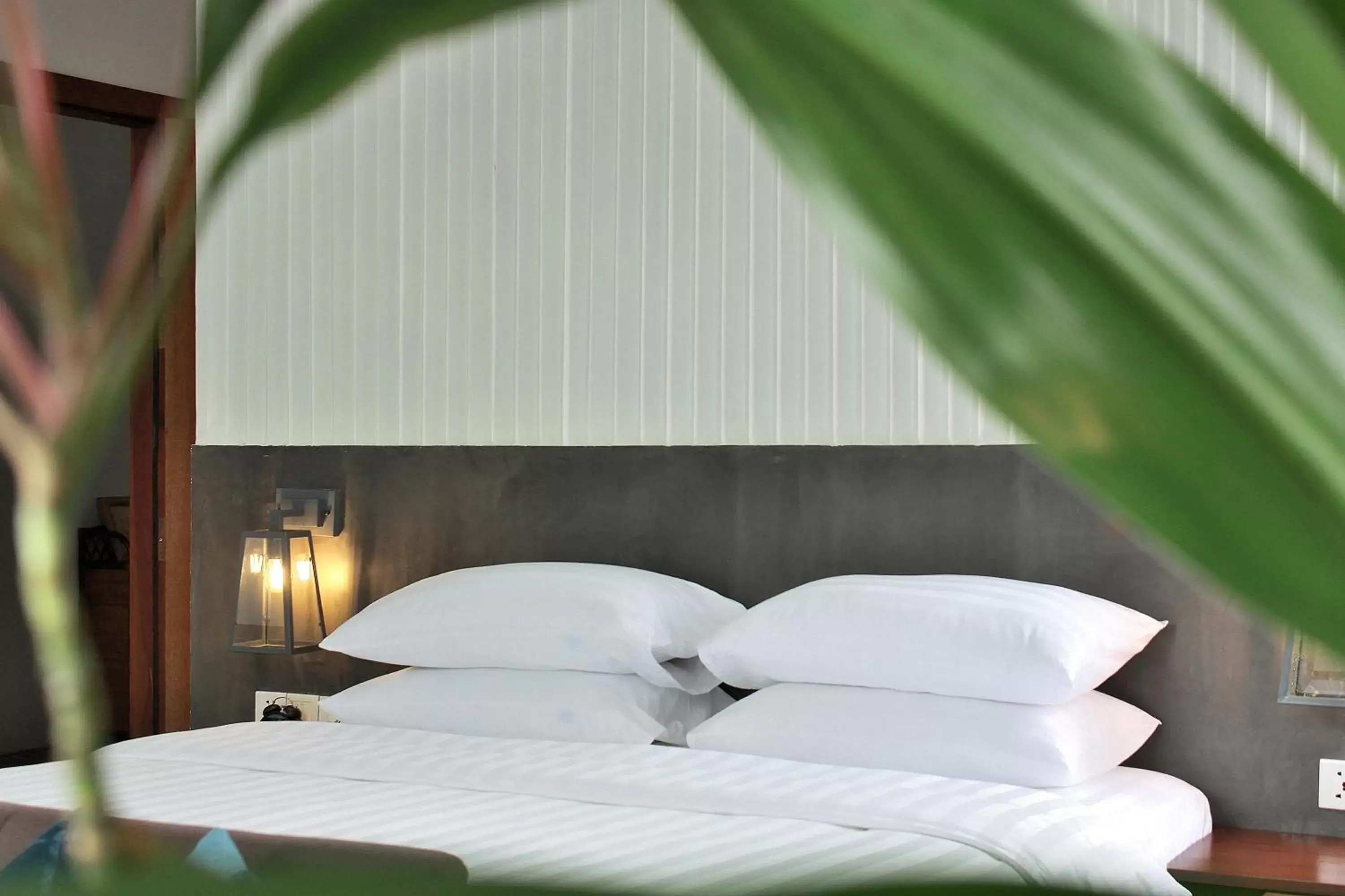 William's Houses William's Houses