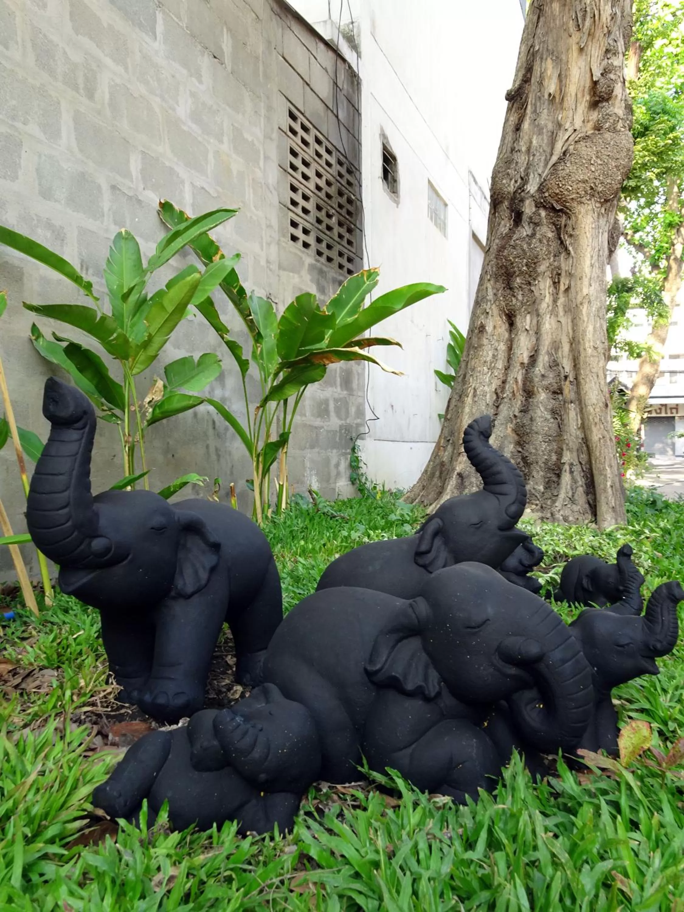 Garden in The Warehouse Chiang Mai
