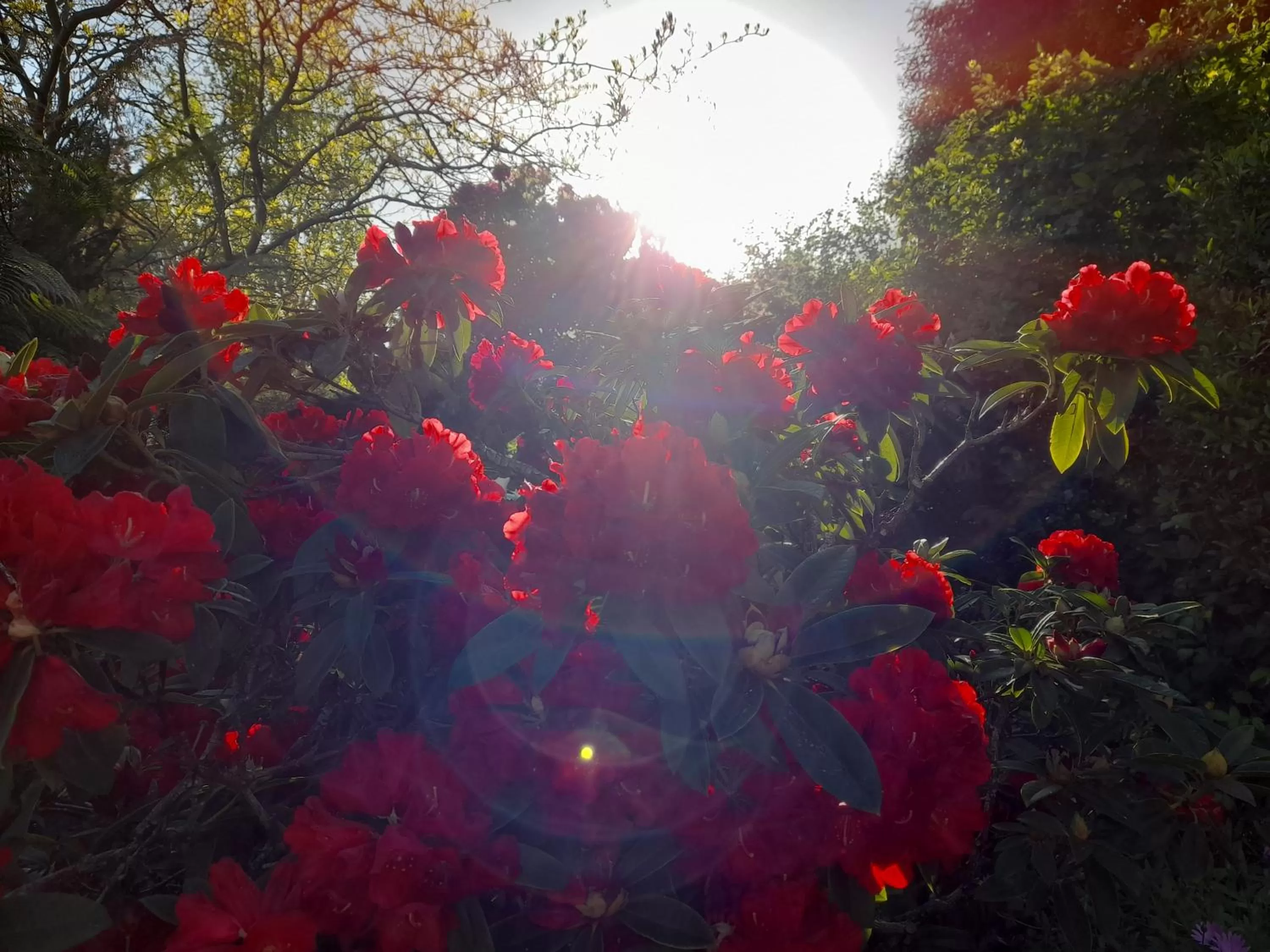 Hillside Bed and Breakfast