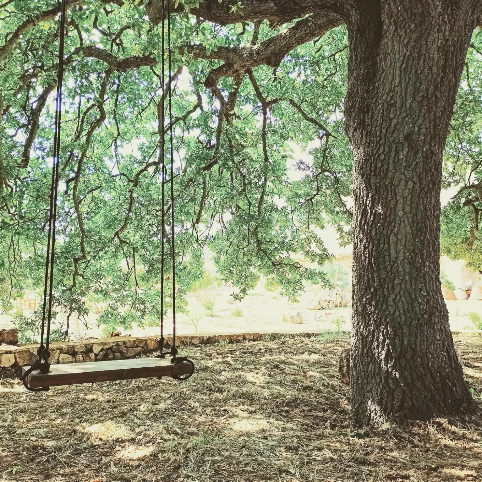 Natural landscape in Masseria LoJazzo