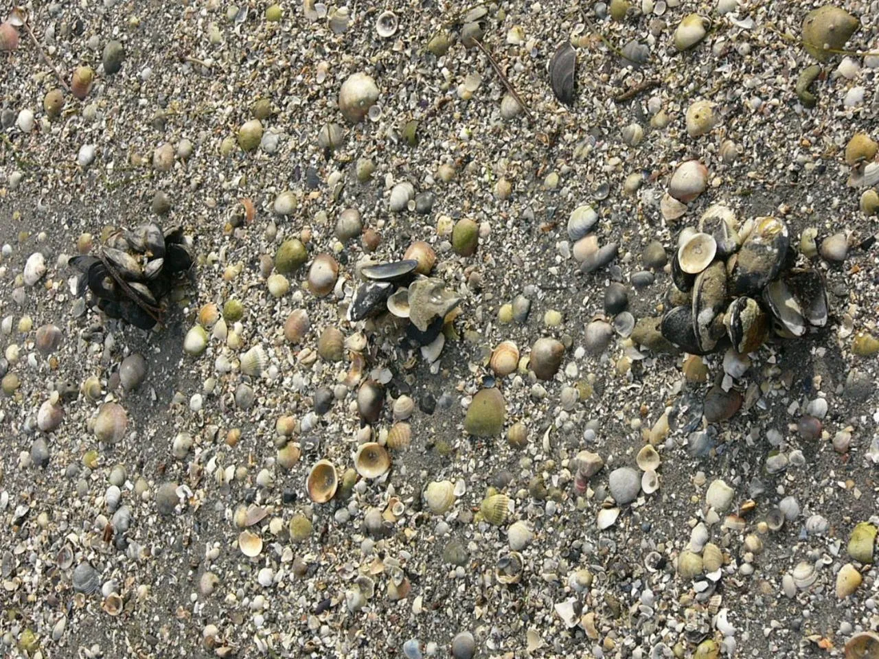 Other in Hotel Serena