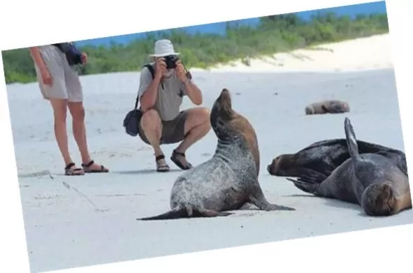 Beach in Hotel La Isla