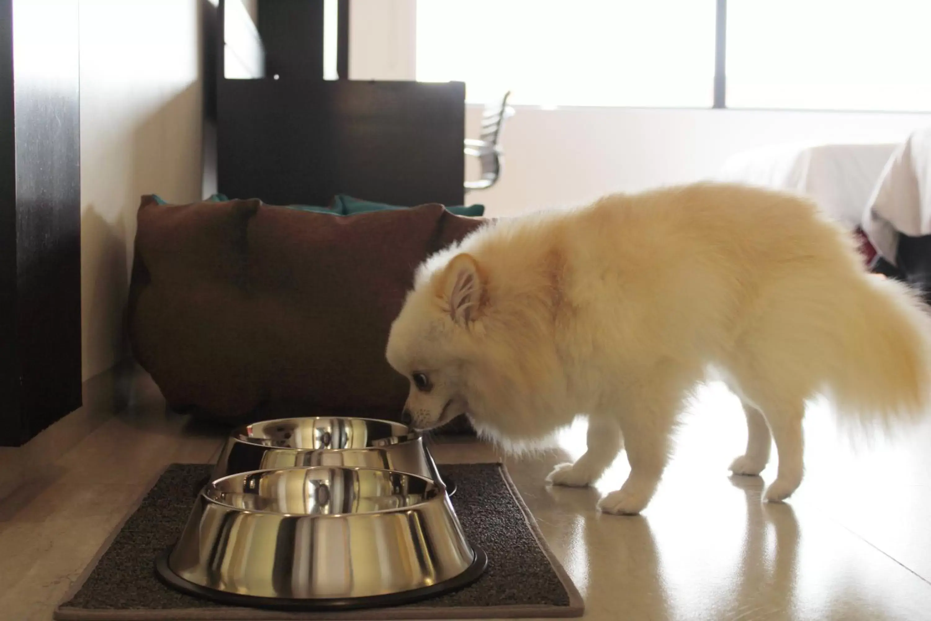 Holiday Inn Mexico Dali Airport by IHG Holiday Inn Mexico Dali Airport by IHG