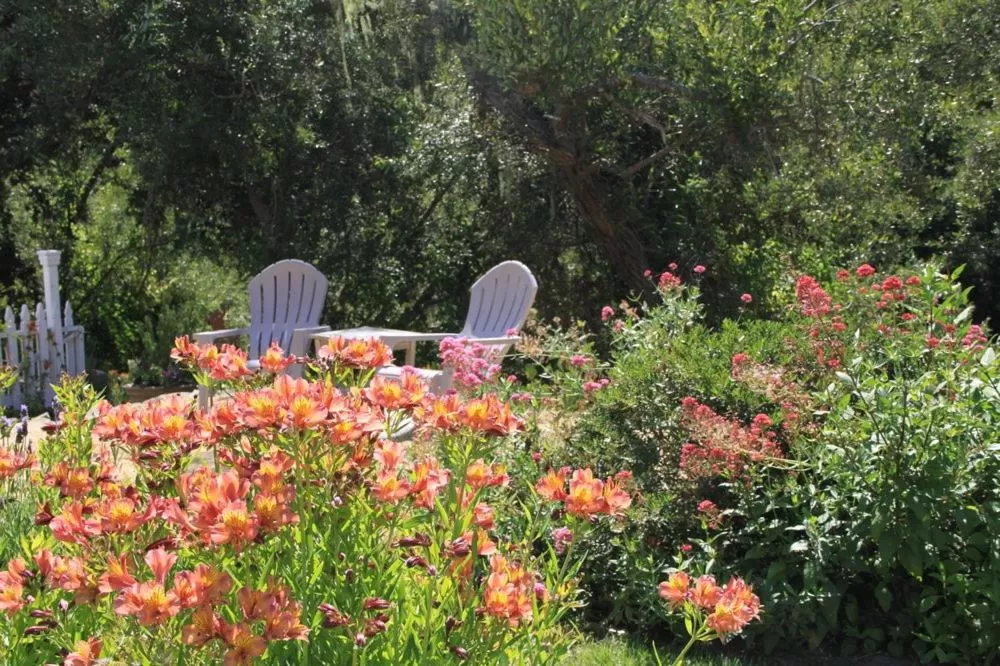 Garden in Olallieberry Inn Bed and Breakfast