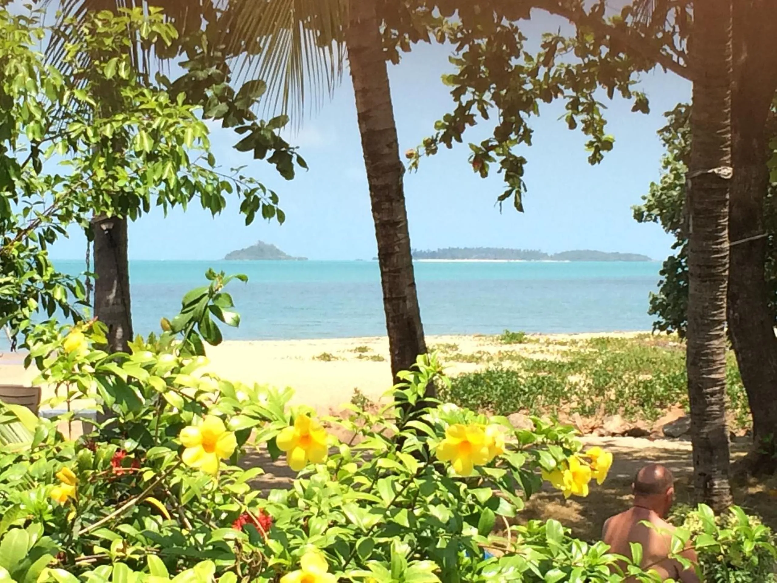 Garden in The Waterfront Hotel at Fisherman's Village