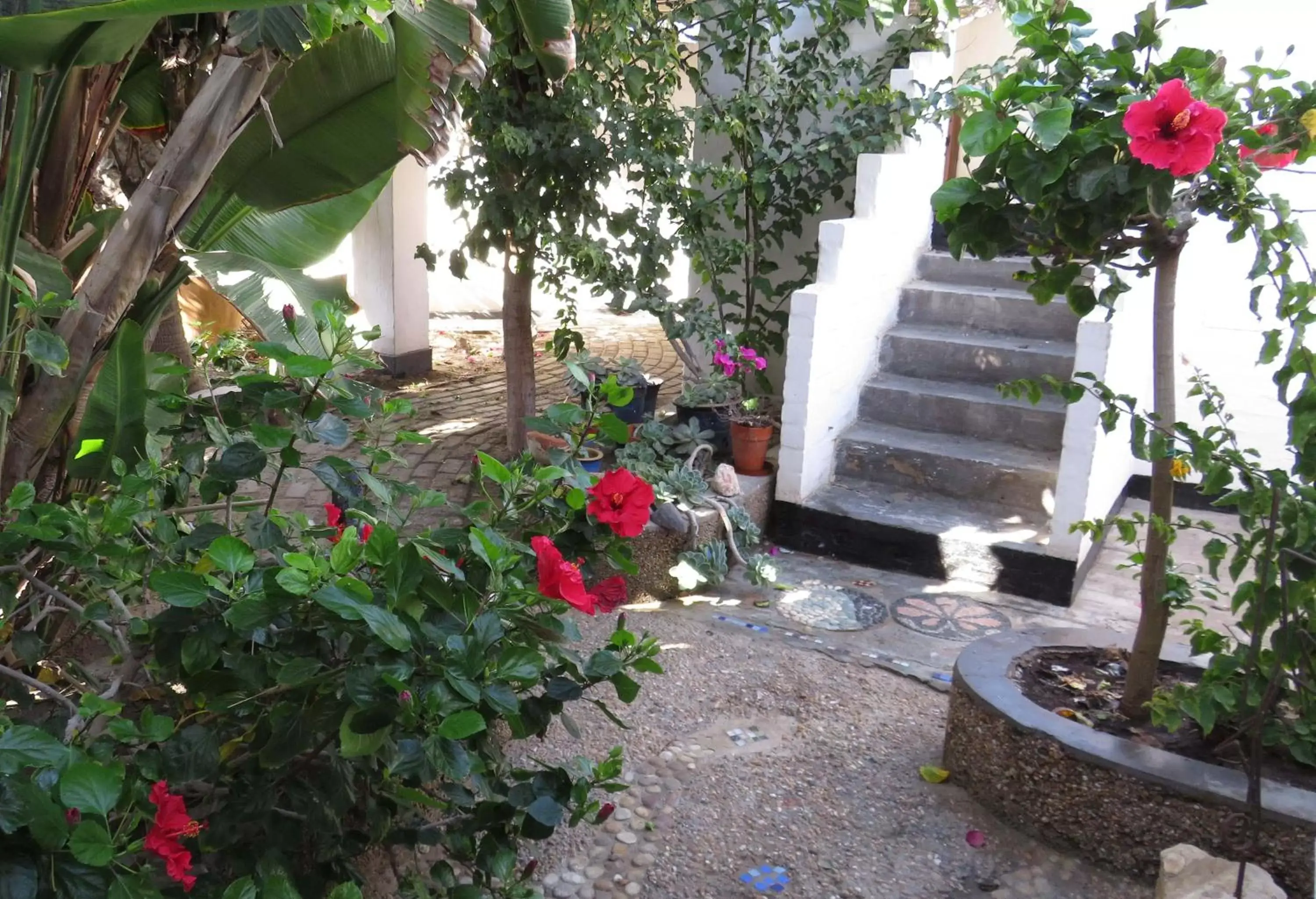 Budget Double Room in Alternative Space B & B Budget Double Room in Alternative Space B & B