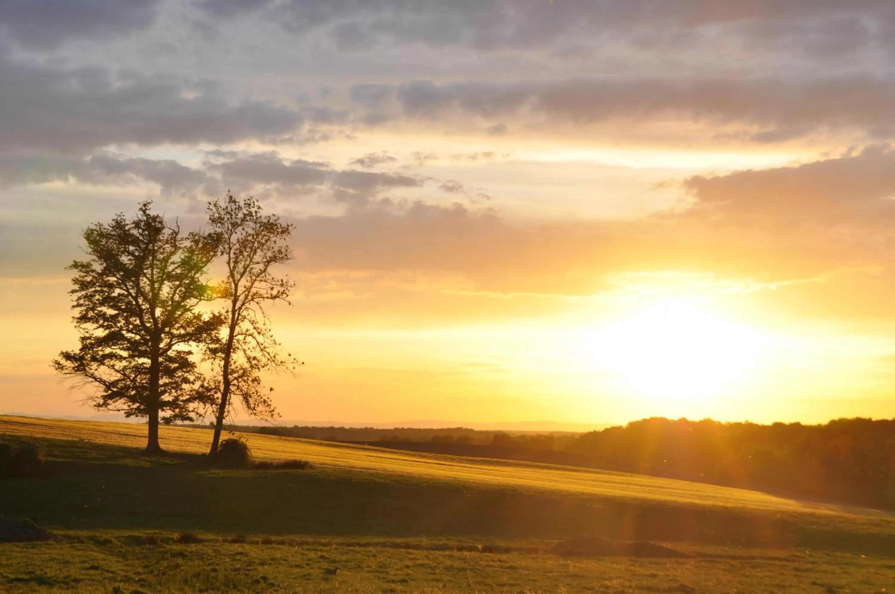 View (from property/room) in Terres de la Grange B&B