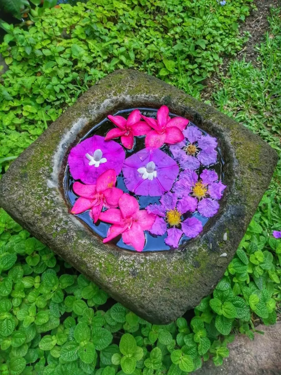 Restaurant/places to eat in Cinco Hotel B&B