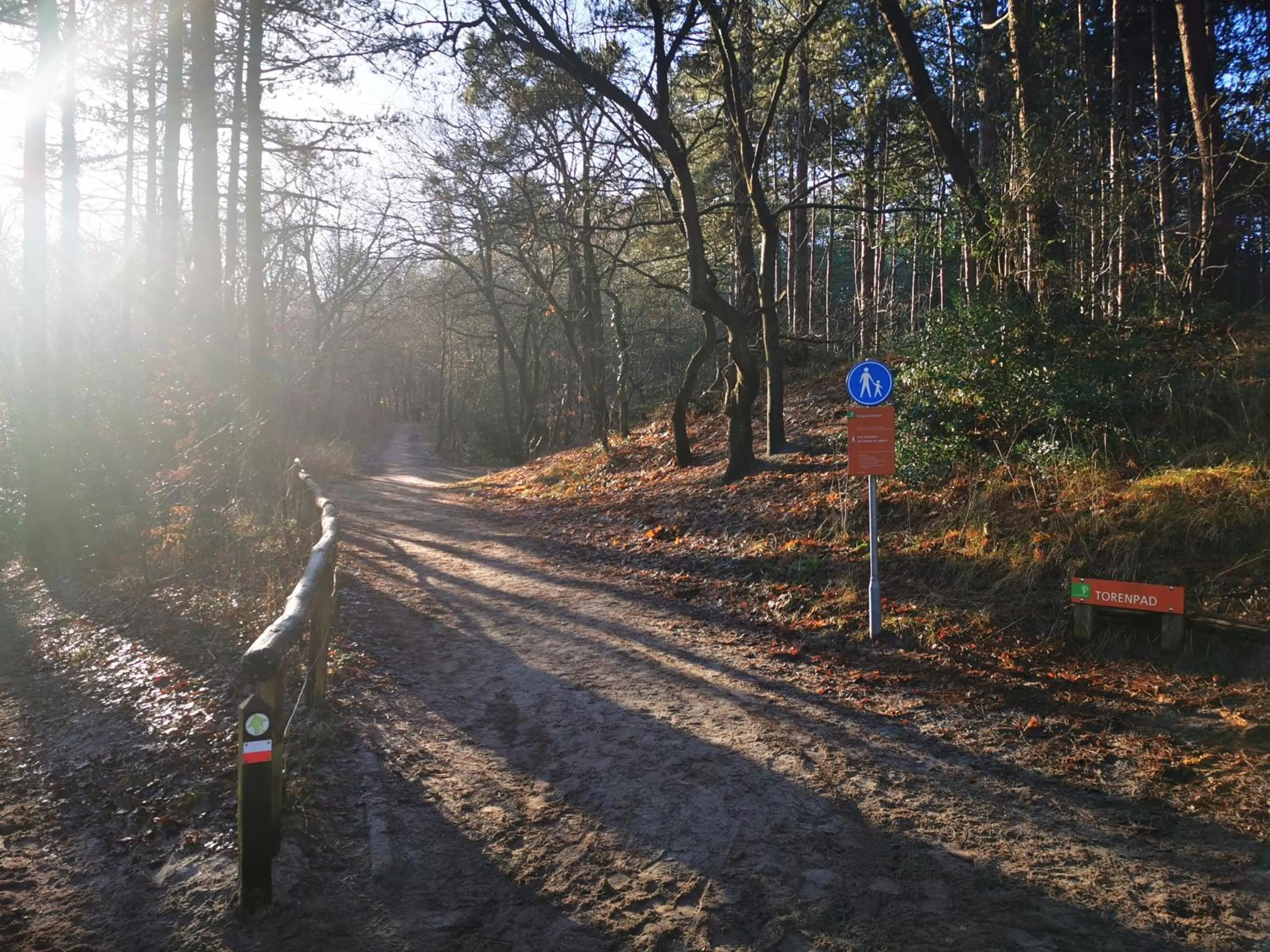 Natural landscape in bnbheerhugowaard wooden