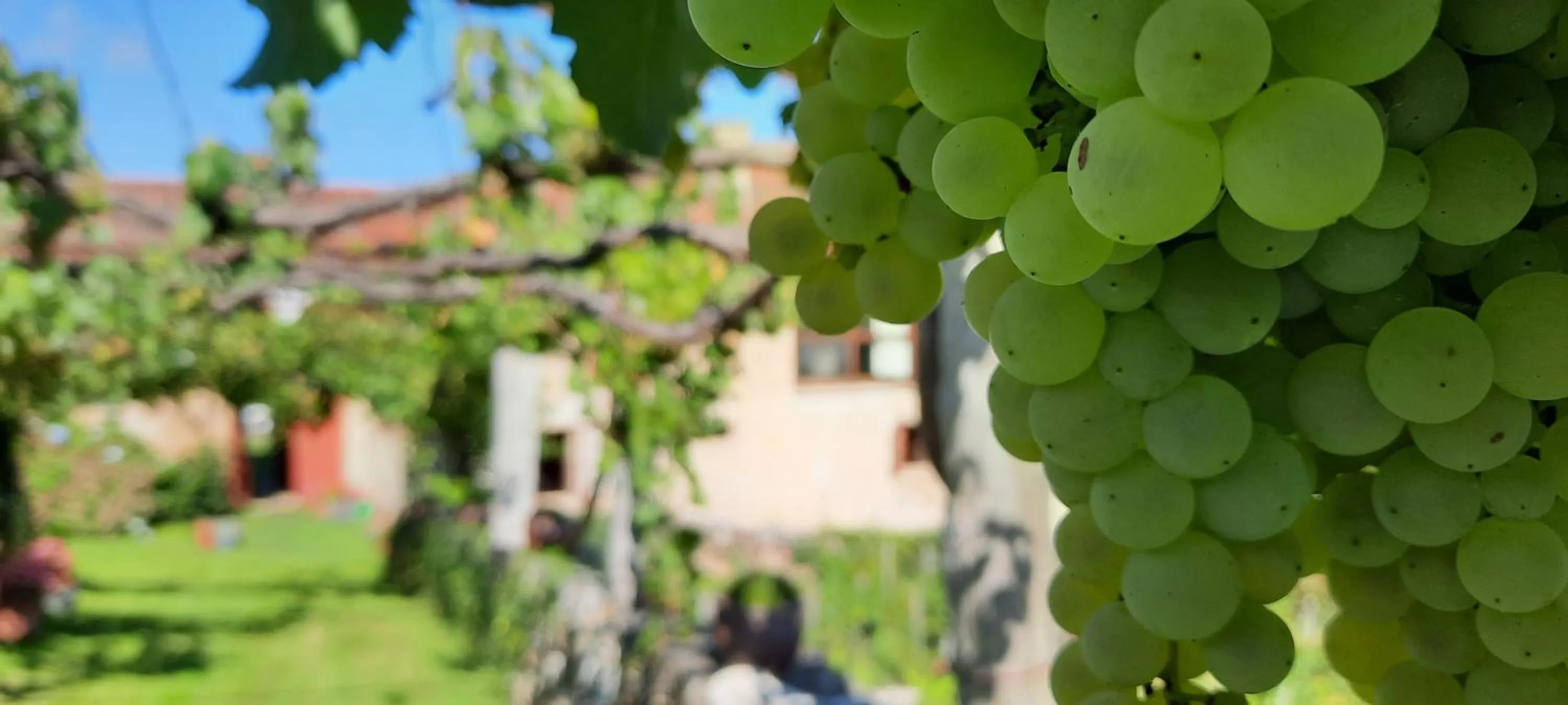 Spring in Rectoral de Anllo