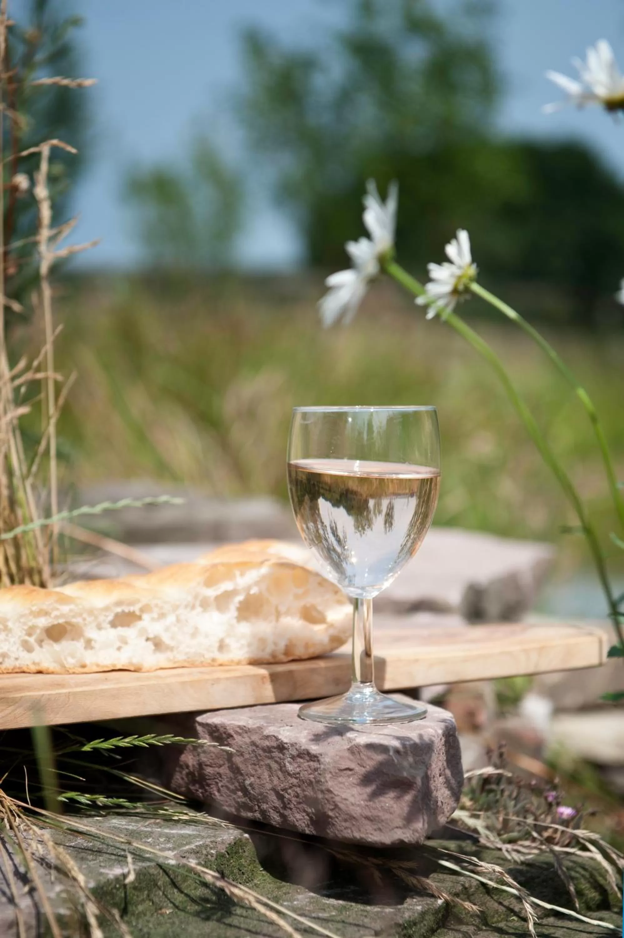 Garden in Hof van Eersel