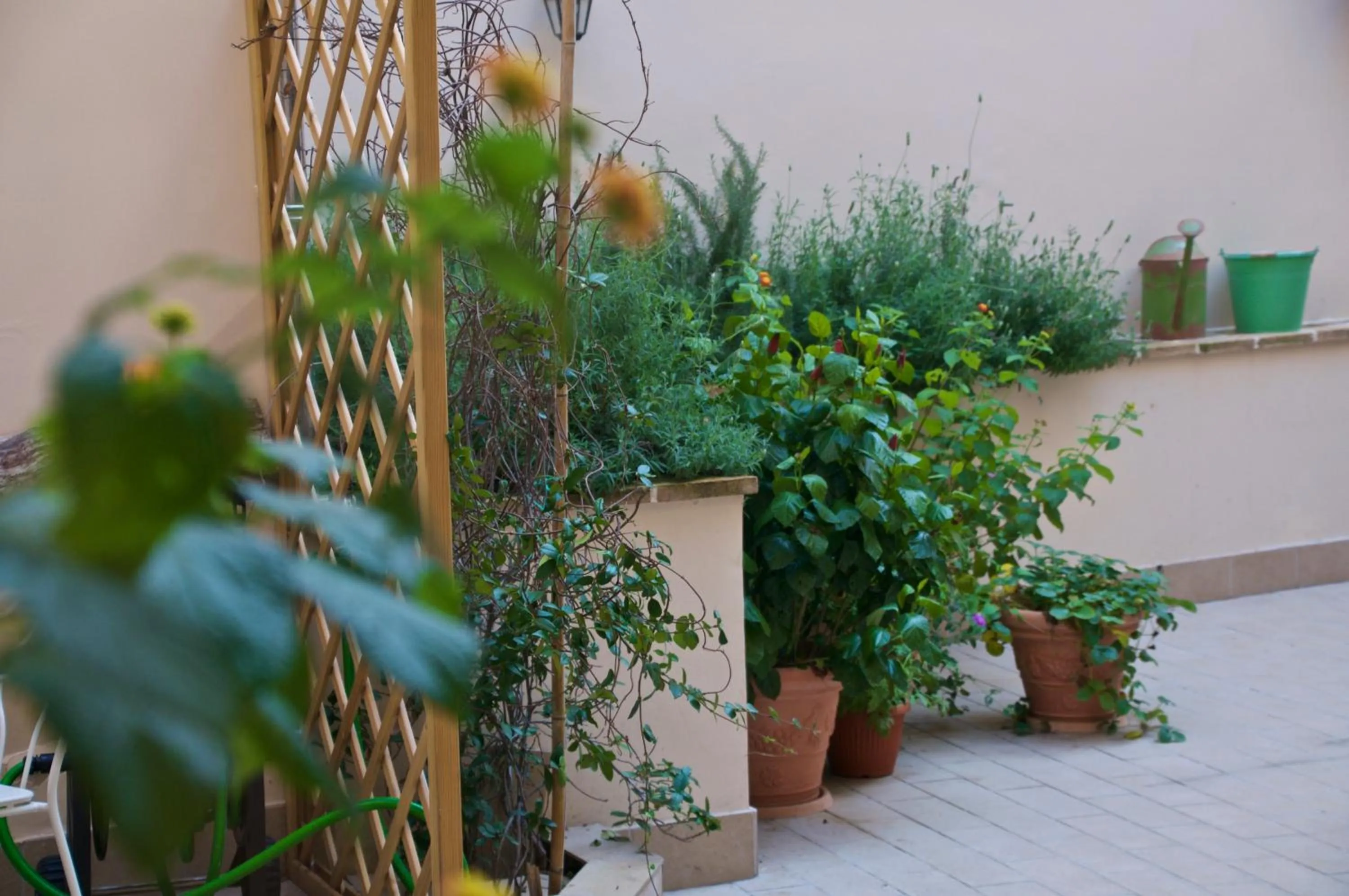 Patio in Cas'E Charming House