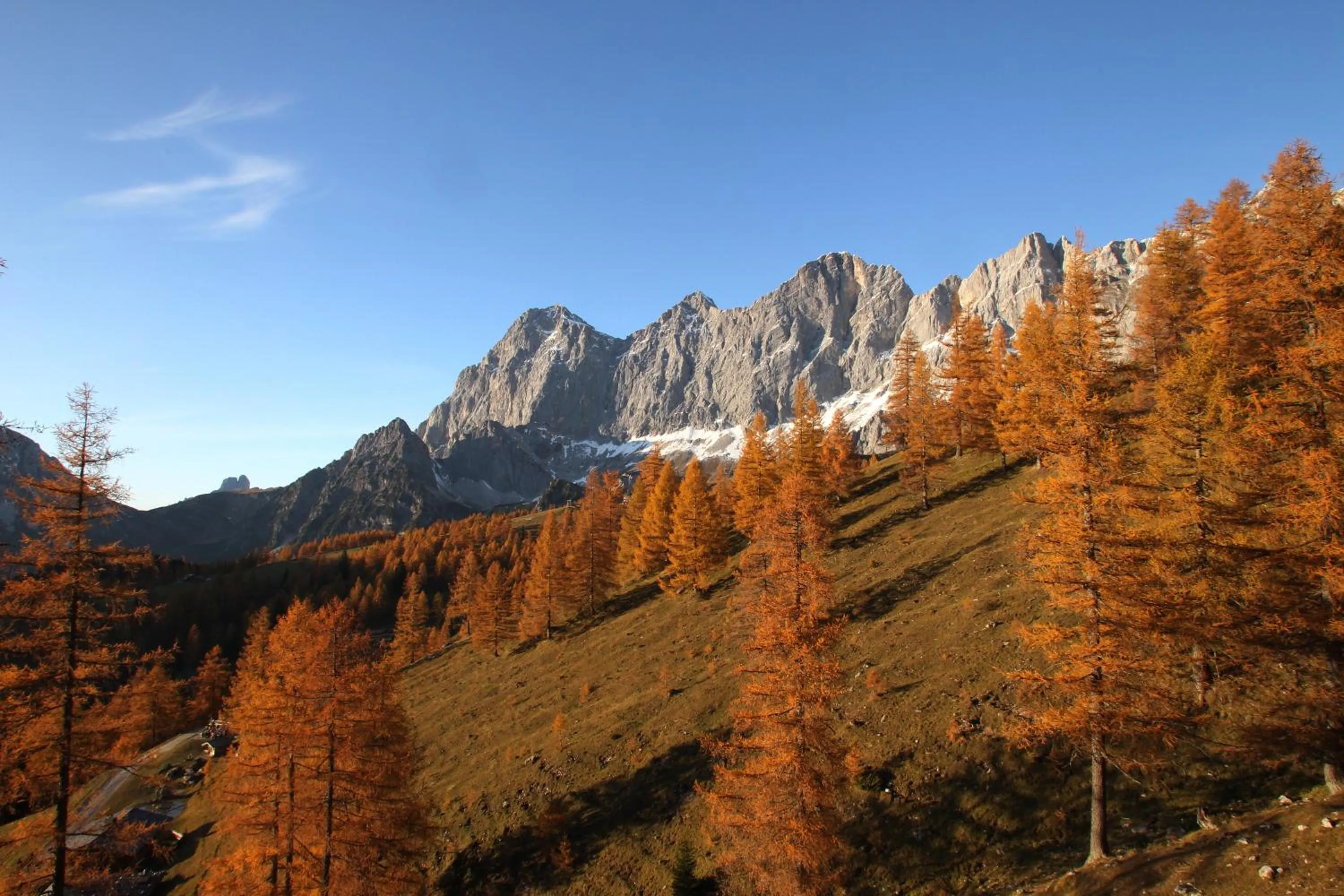 Natural landscape in Hotel Pichlmayrgut