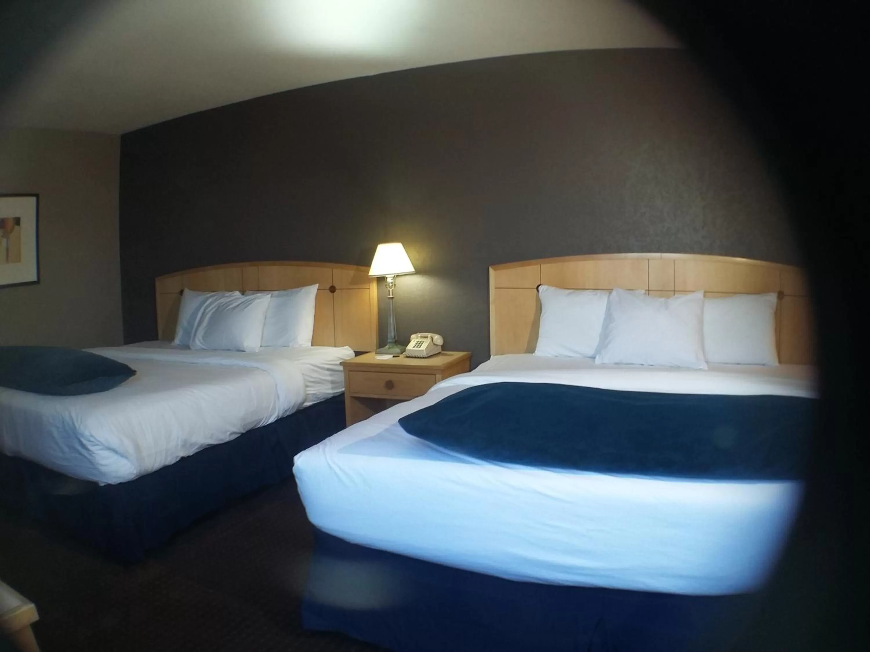 Photo of the whole room in Travelodge by Wyndham Memphis Airport/Graceland