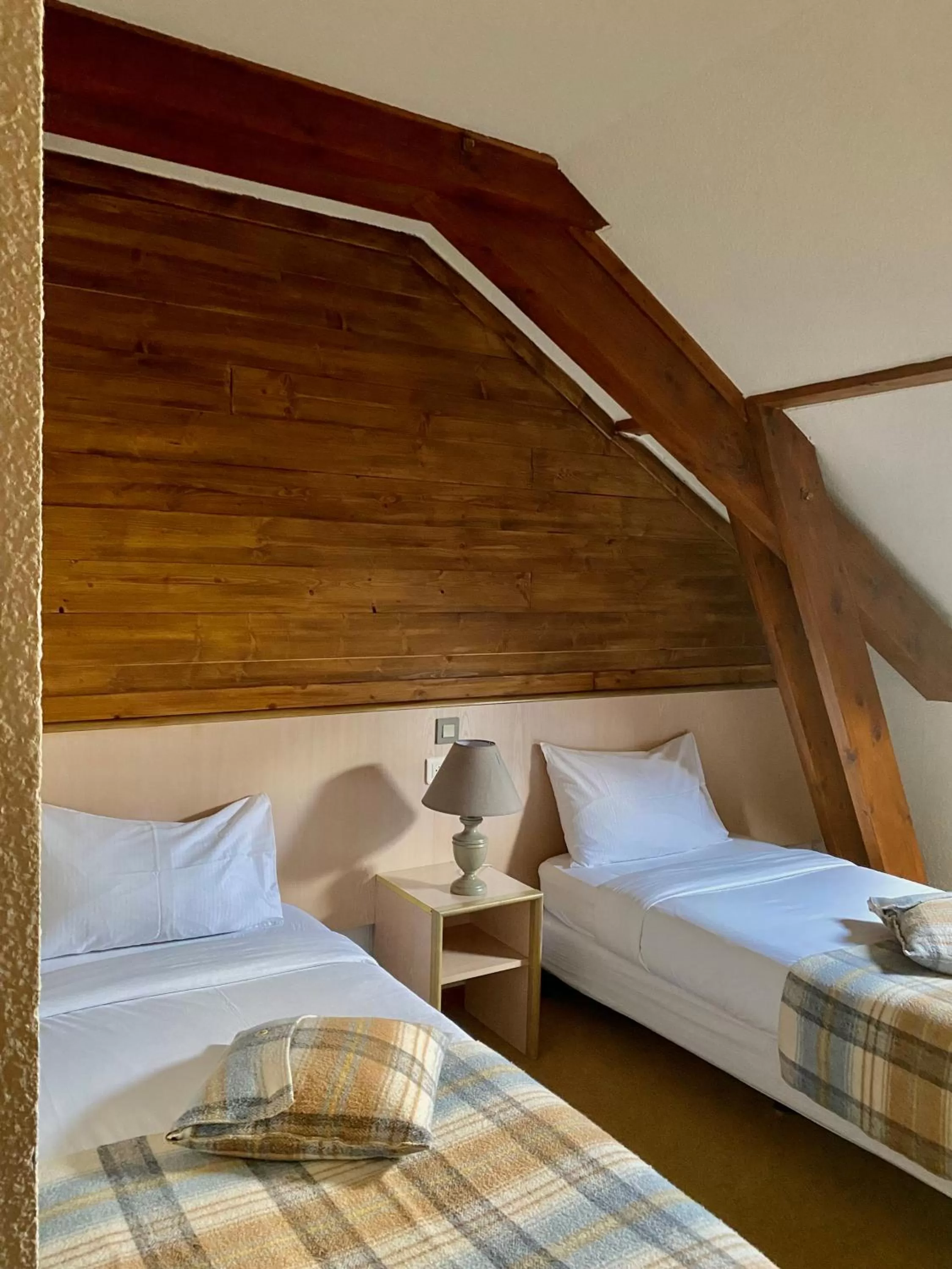 Standard Twin Room in Hôtel Le Savoie