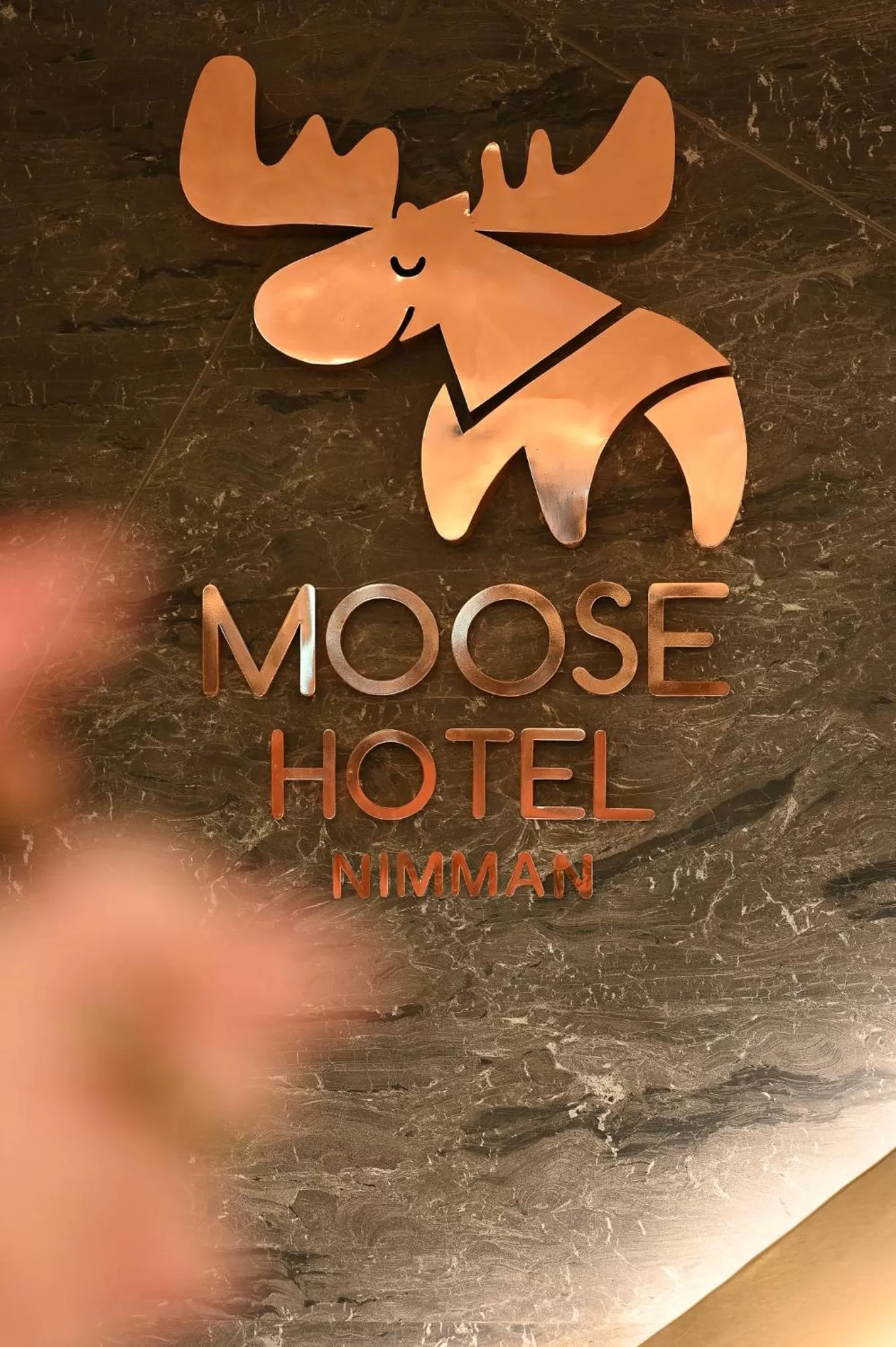 Property building in Moose Hotel Nimman