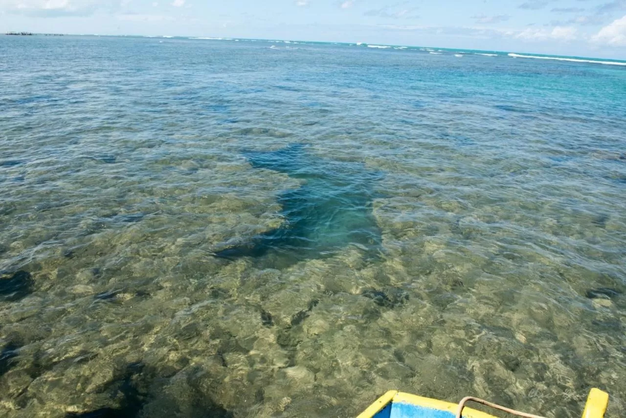 Bird's-eye View in Pousada e Restaurante Encanto das Águas