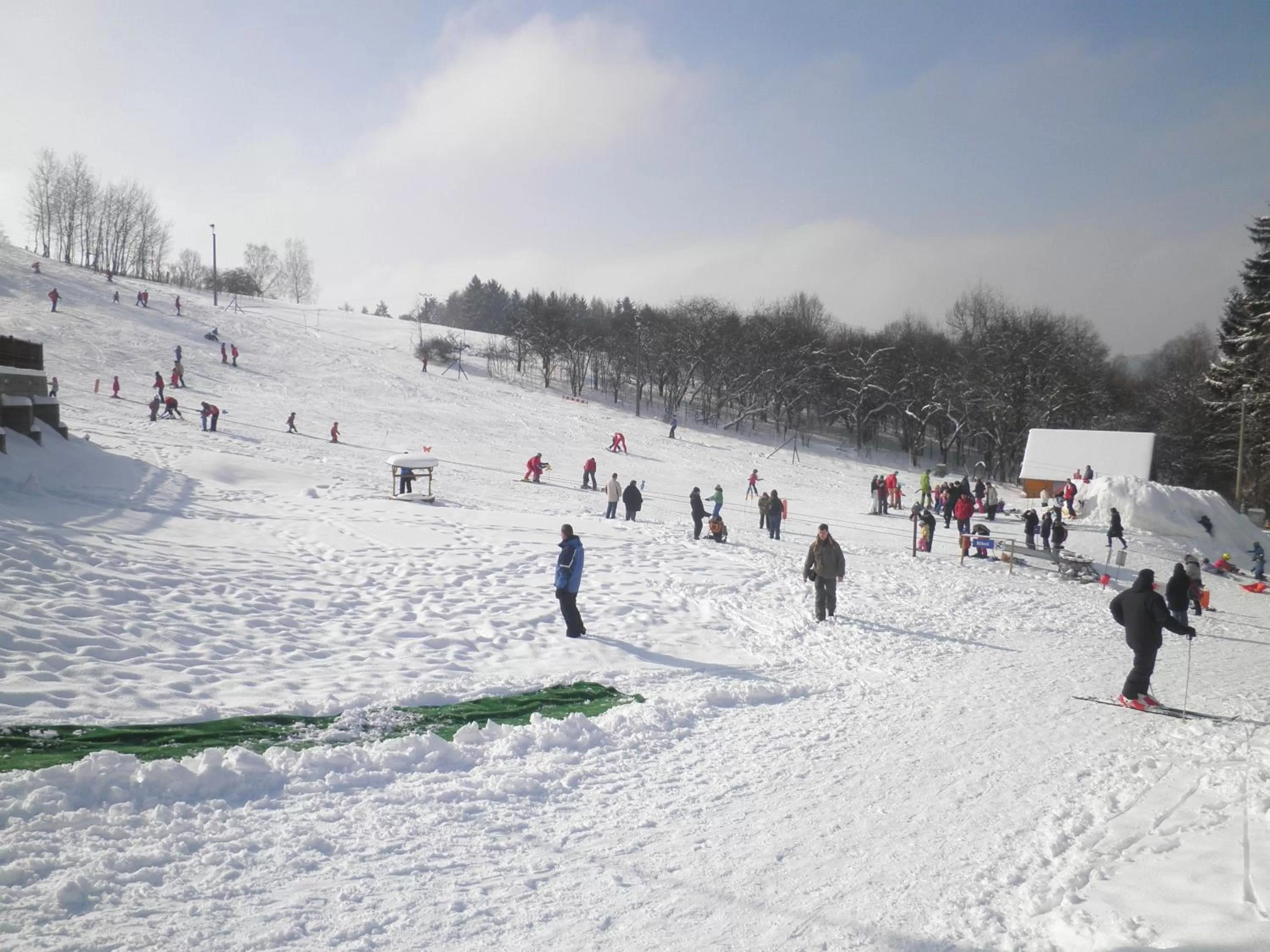 Winter in Sport-hotel Šibeniční vrch