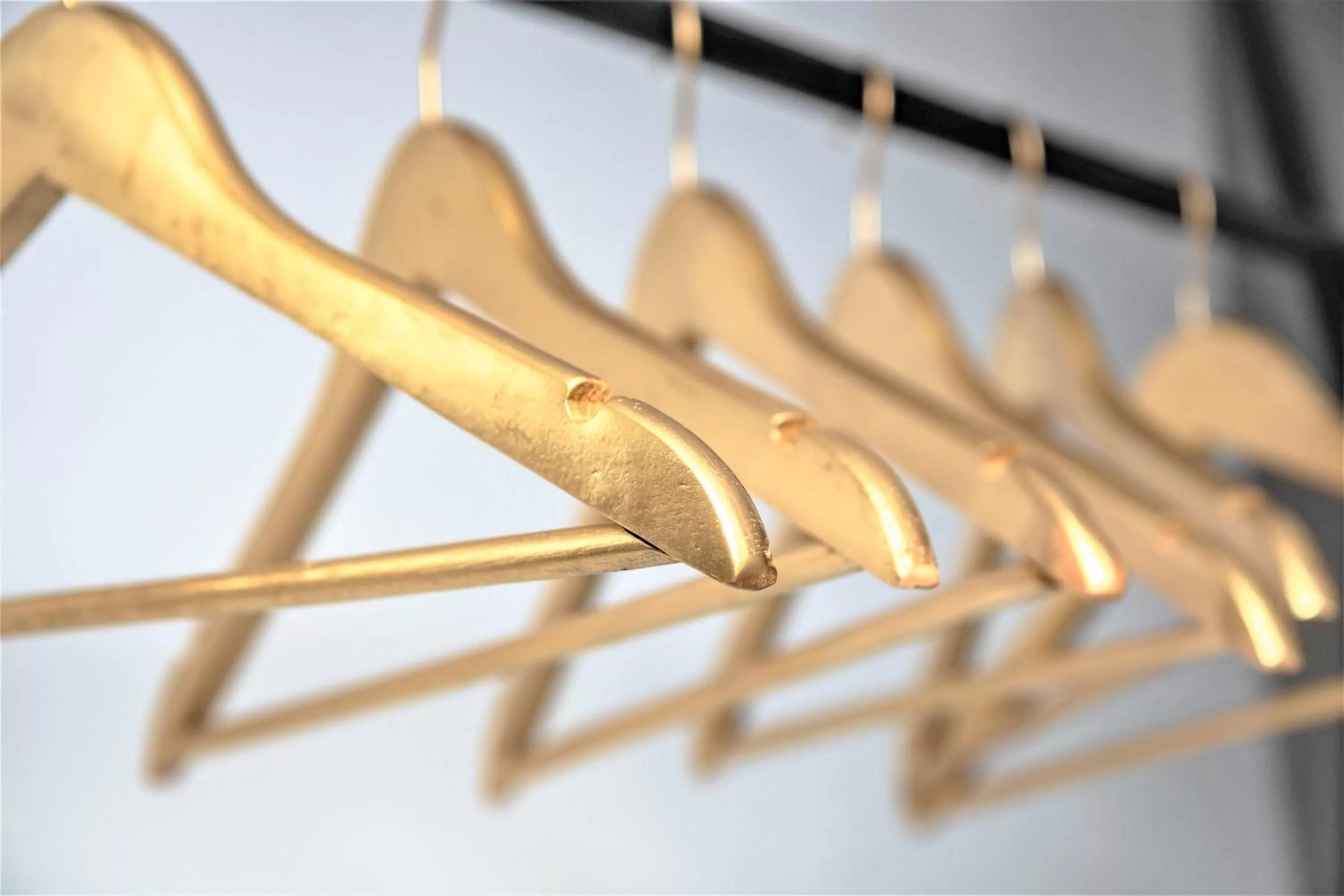 Area and facilities in DESIGN SUITES Boutique Hotel - Adults Only