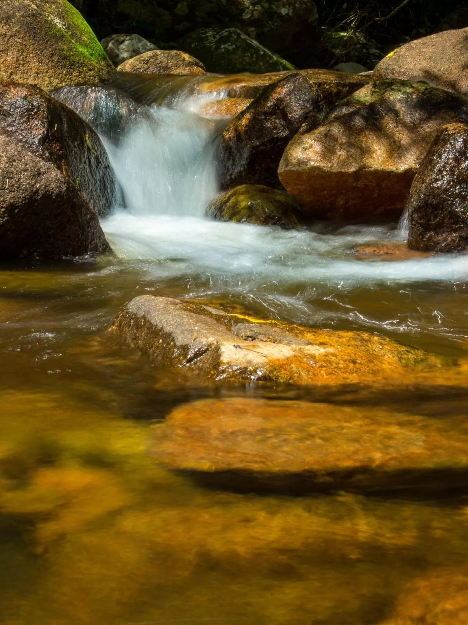 Hotel Caldas da Imperatriz