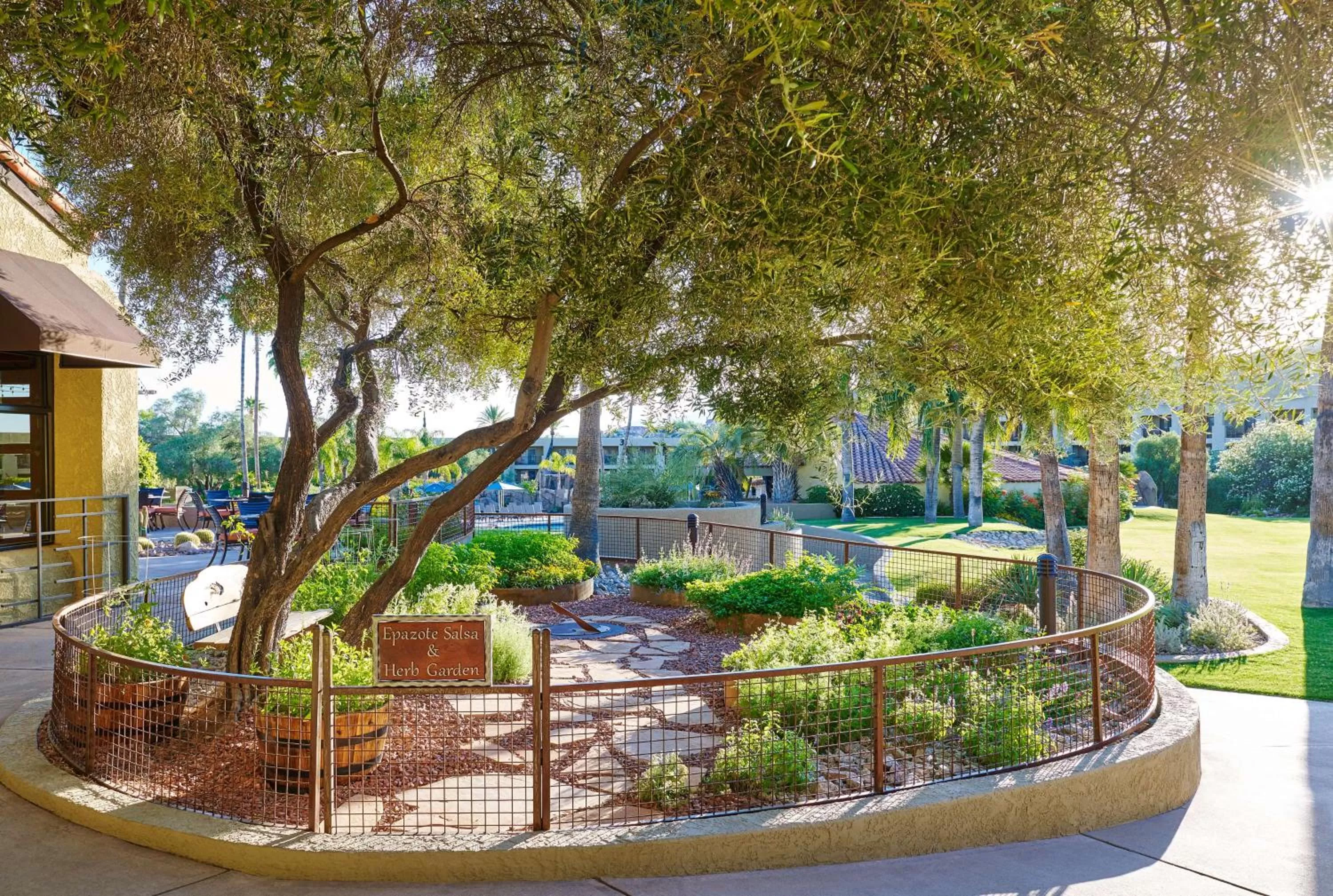 Restaurant/places to eat in El Conquistador Tucson, A Hilton Resort