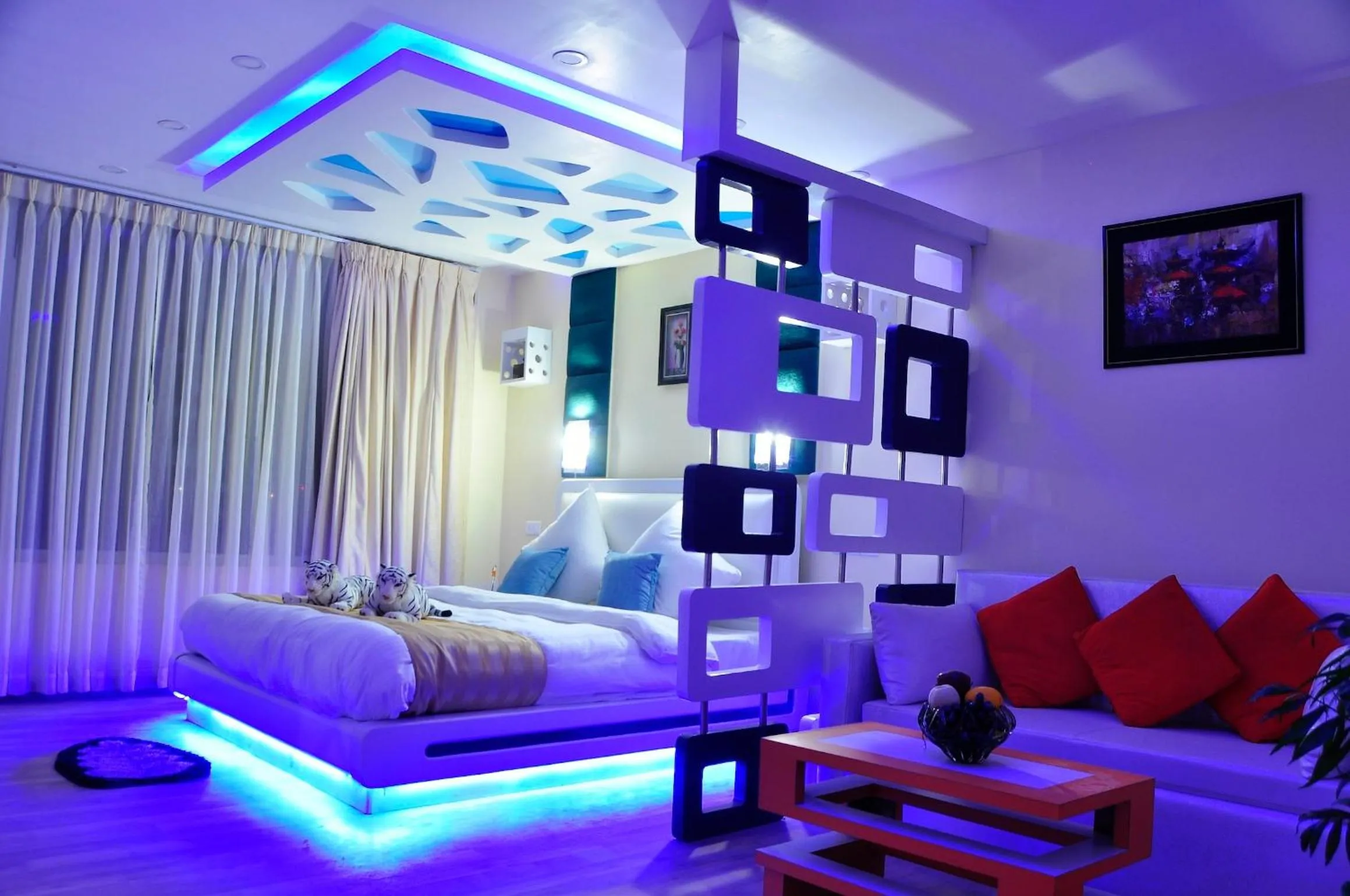 Photo of the whole room in Royal Penguin Boutique Hotel & Spa