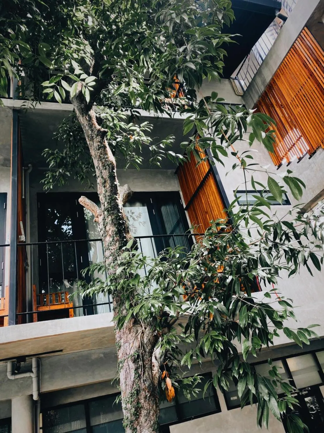 Lamphu House Chiang Mai