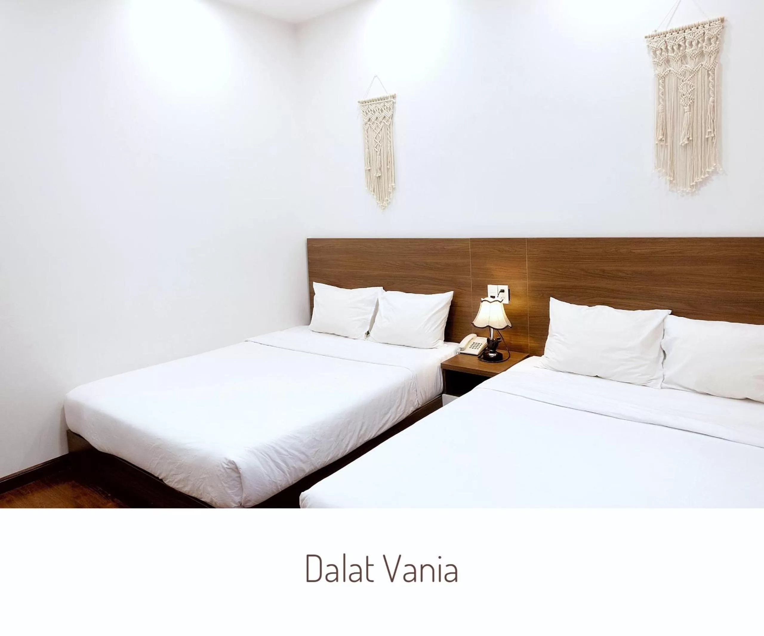 Bed in Sky Hotel - Dalat Vania