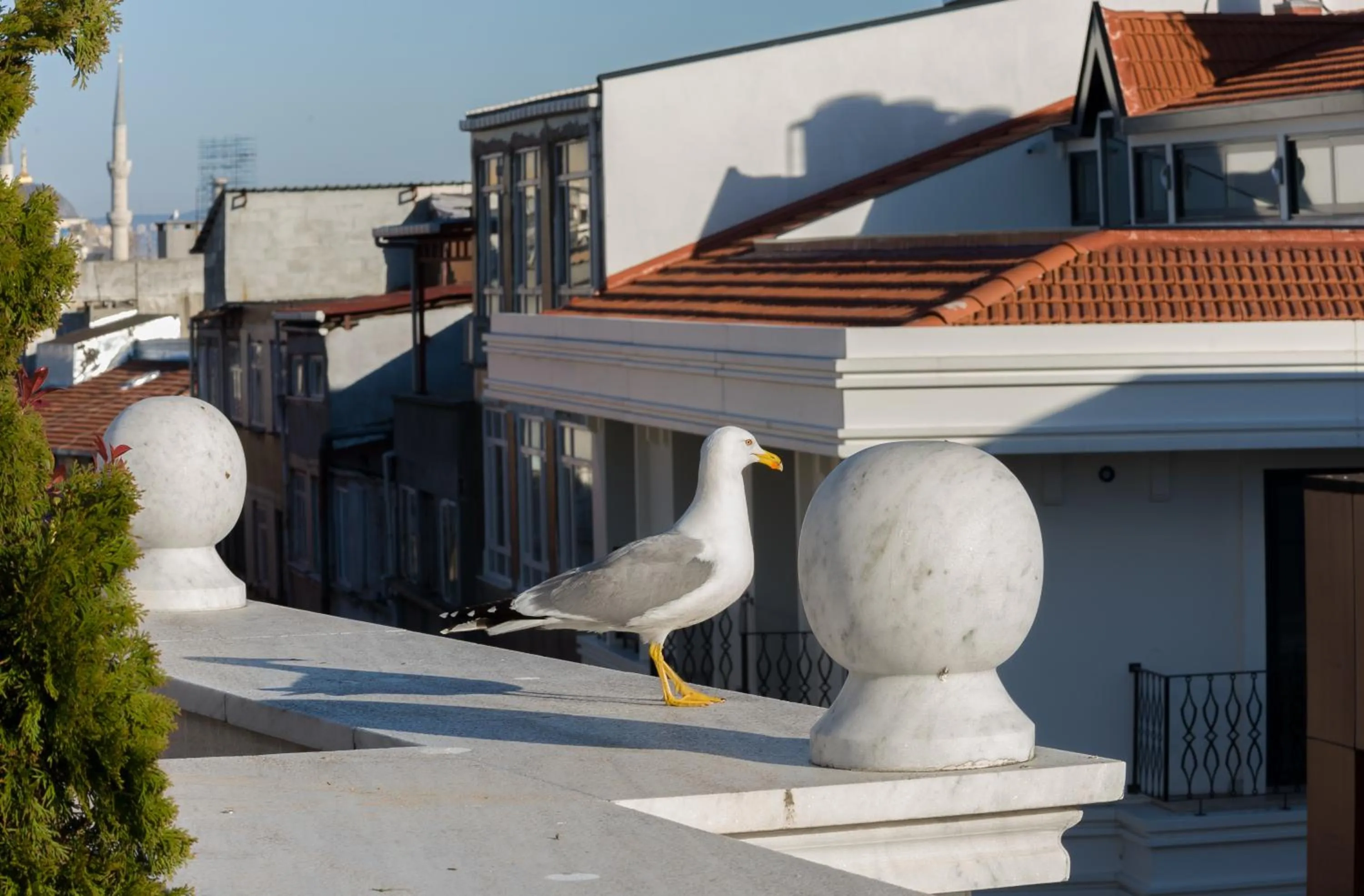 Balcony/Terrace in Bizim Hotel