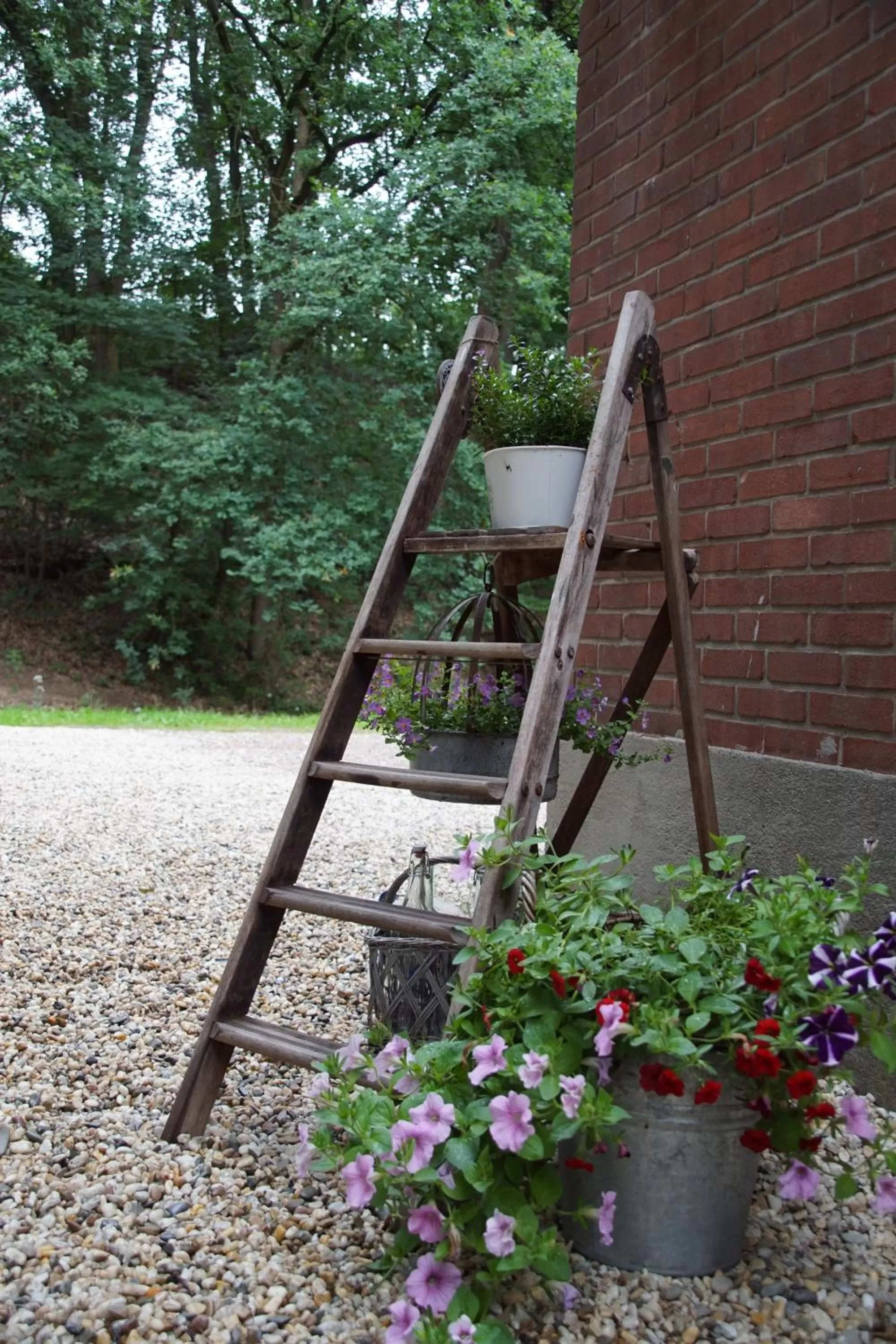 Garden in Bed & Breakfast aan de Beek