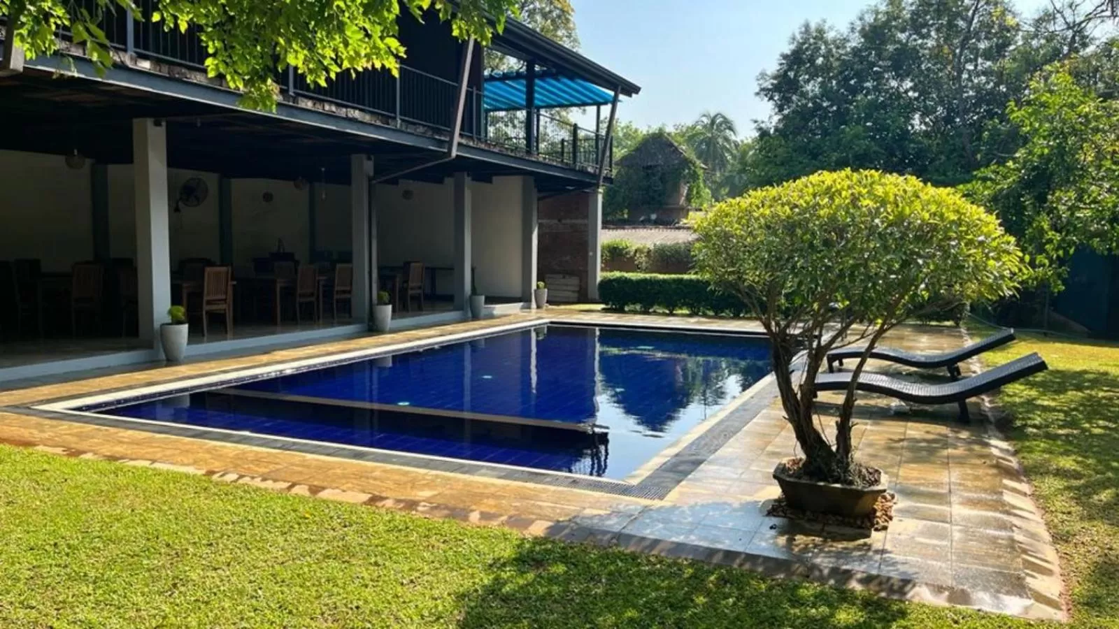 Restaurant/places to eat, Swimming Pool in Honey Tree Polonnaruwa
