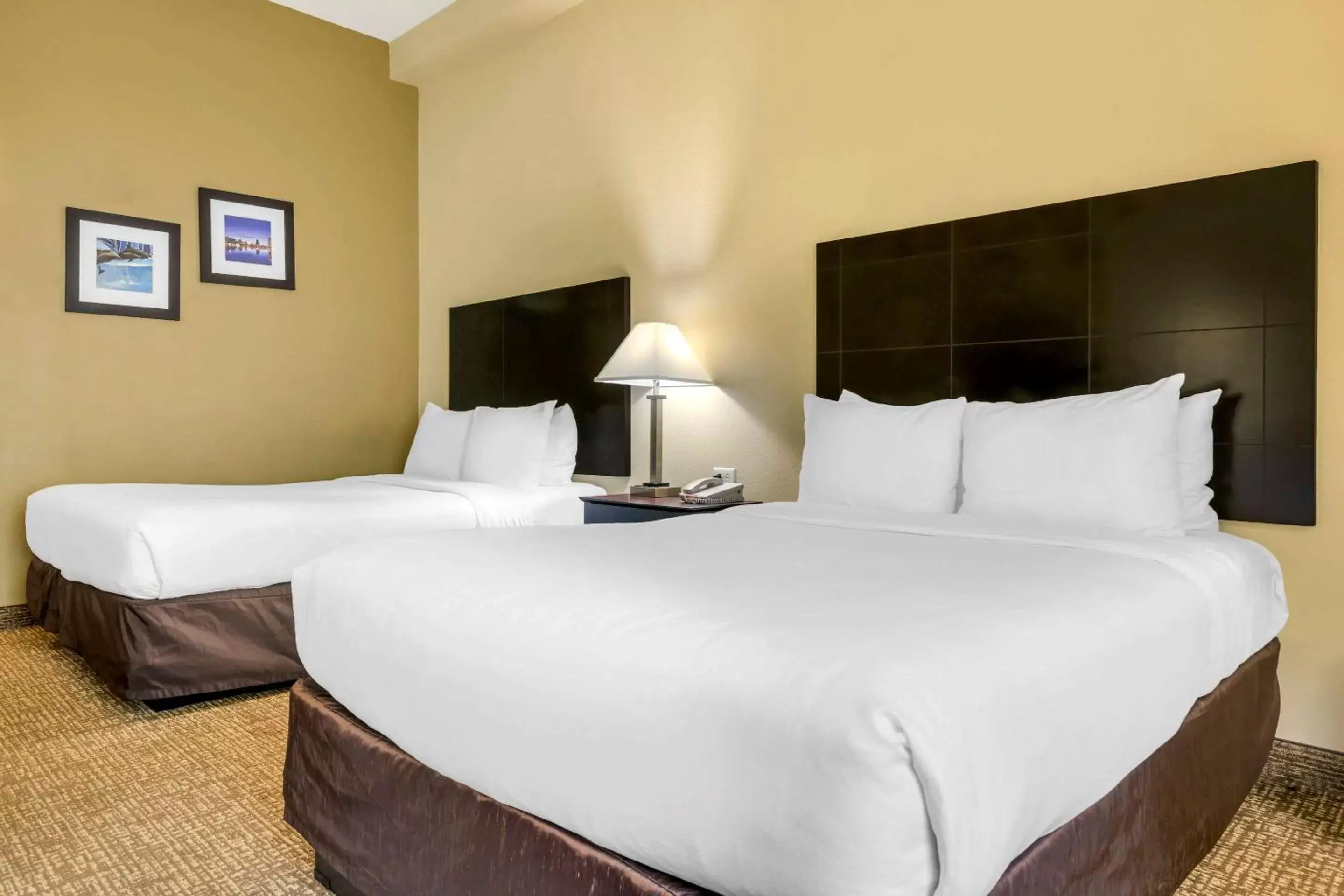 Standard Room with Two Double Beds - Disability Access in Comfort Inn International Drive Standard Room with Two Double Beds - Disability Access in Comfort Inn International Drive