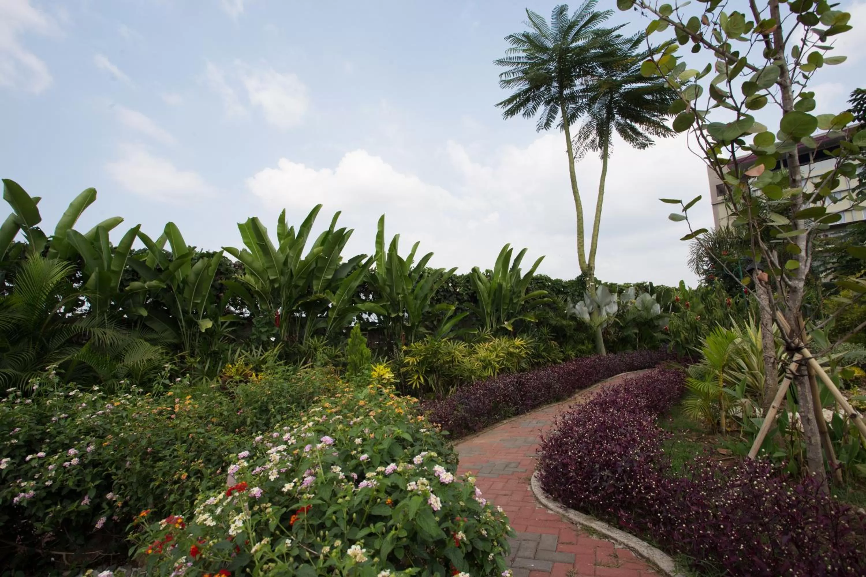 Area and facilities in Grand Sunshine Resort & Convention