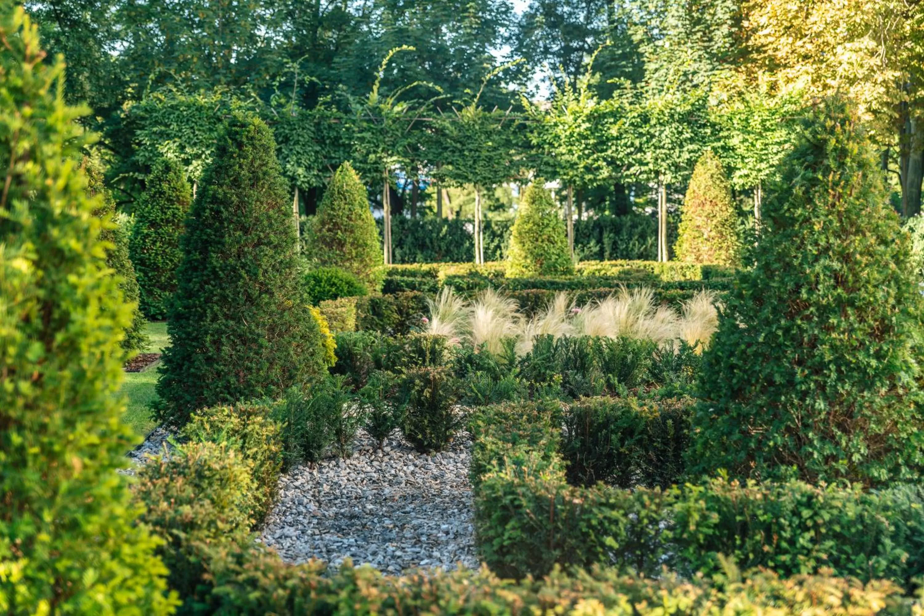 Windsurfing in Hotel Altus Palace - Destigo Hotels