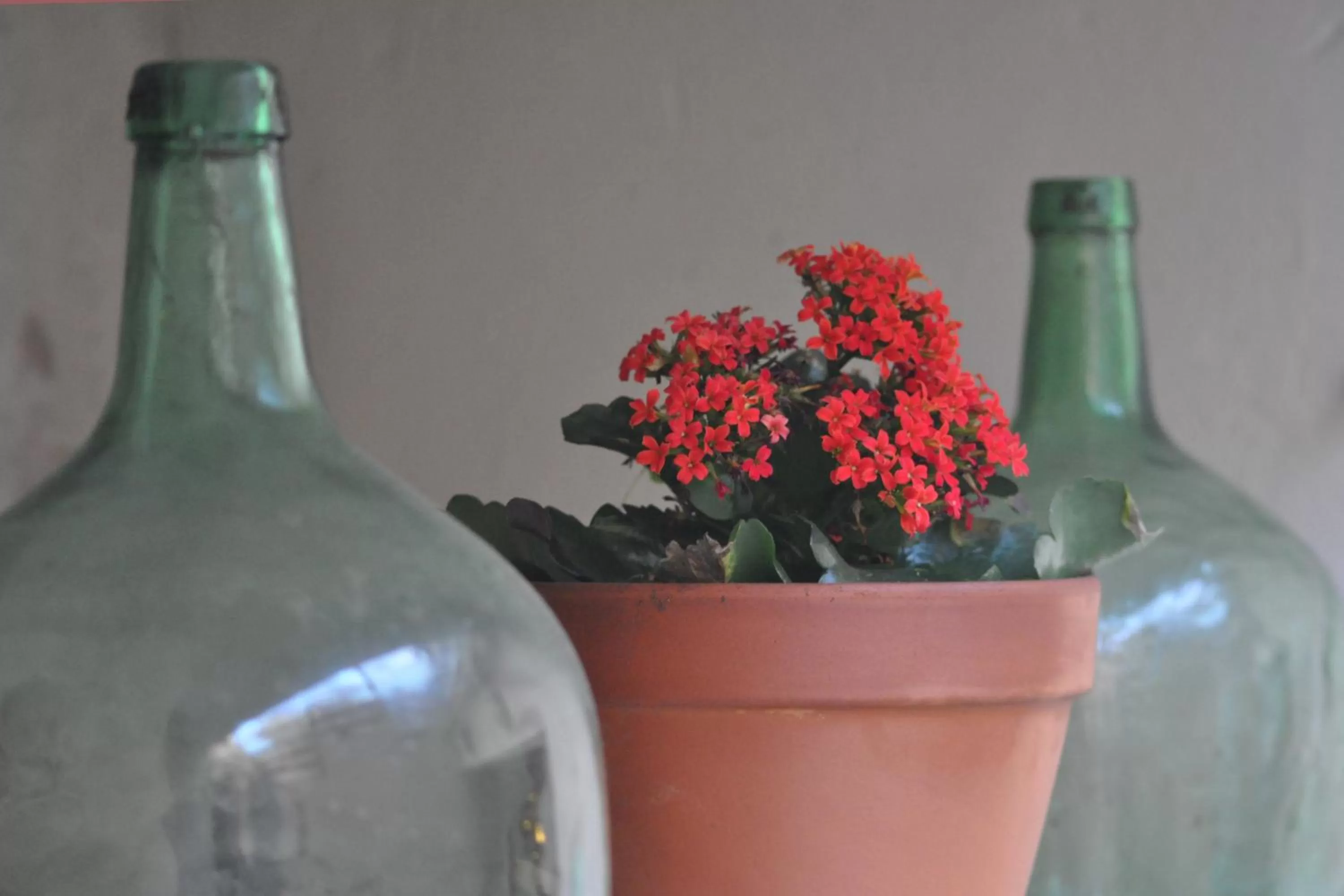 Decorative detail in Convento Tarifa