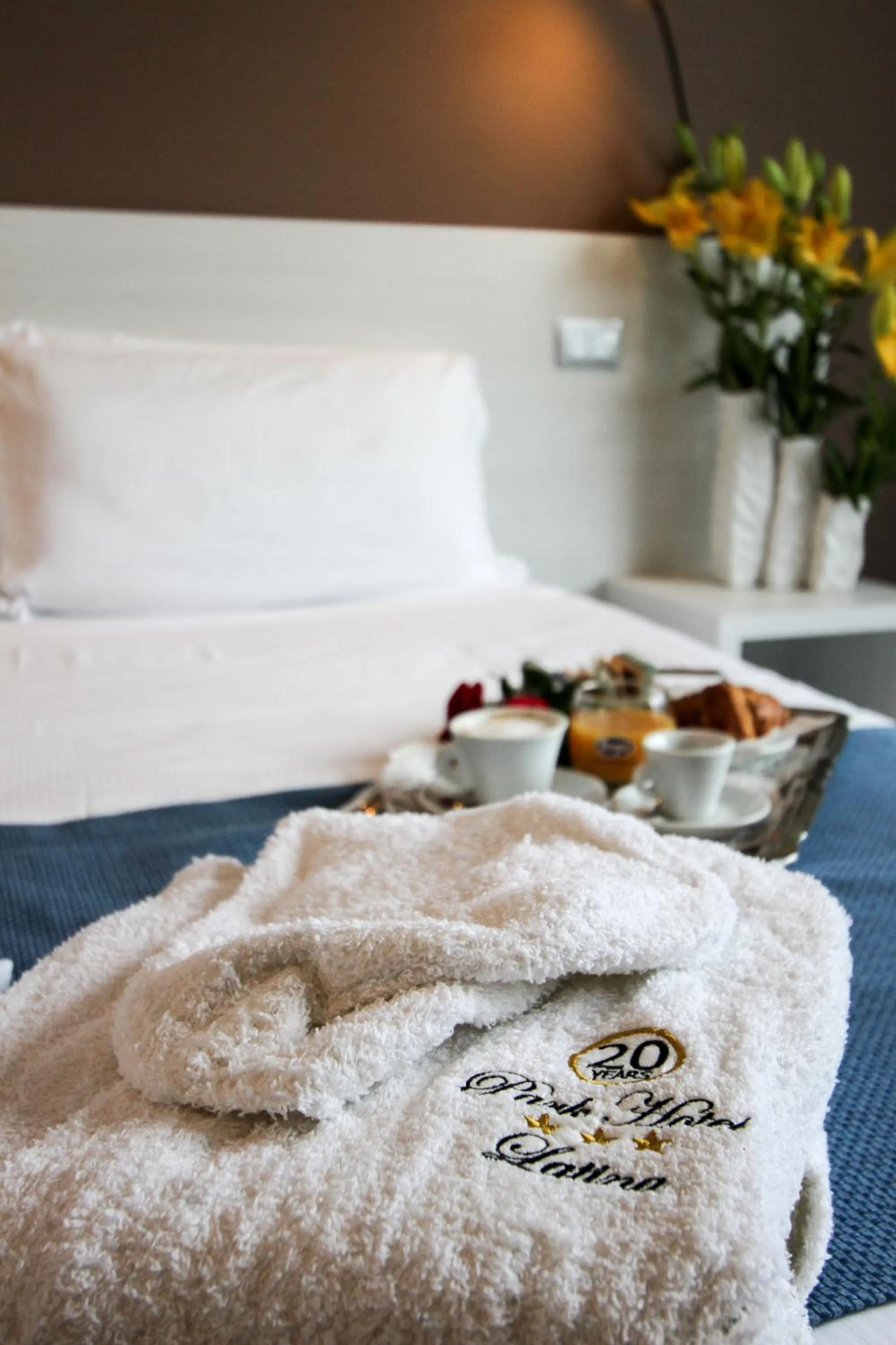 Superior Double or Twin Room in Park Hotel