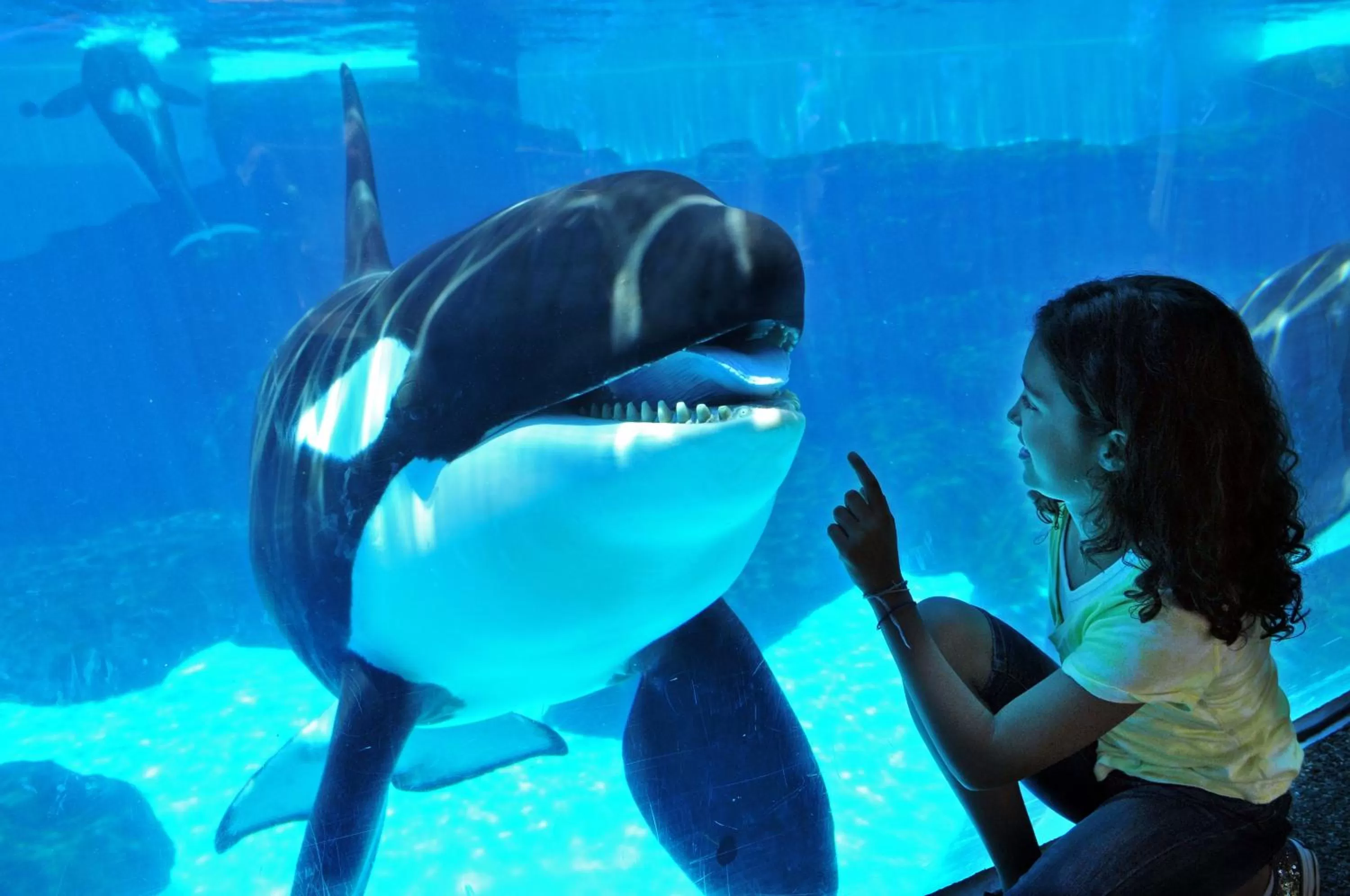 Nearby landmark in Porto Vista Hotel In Little Italy