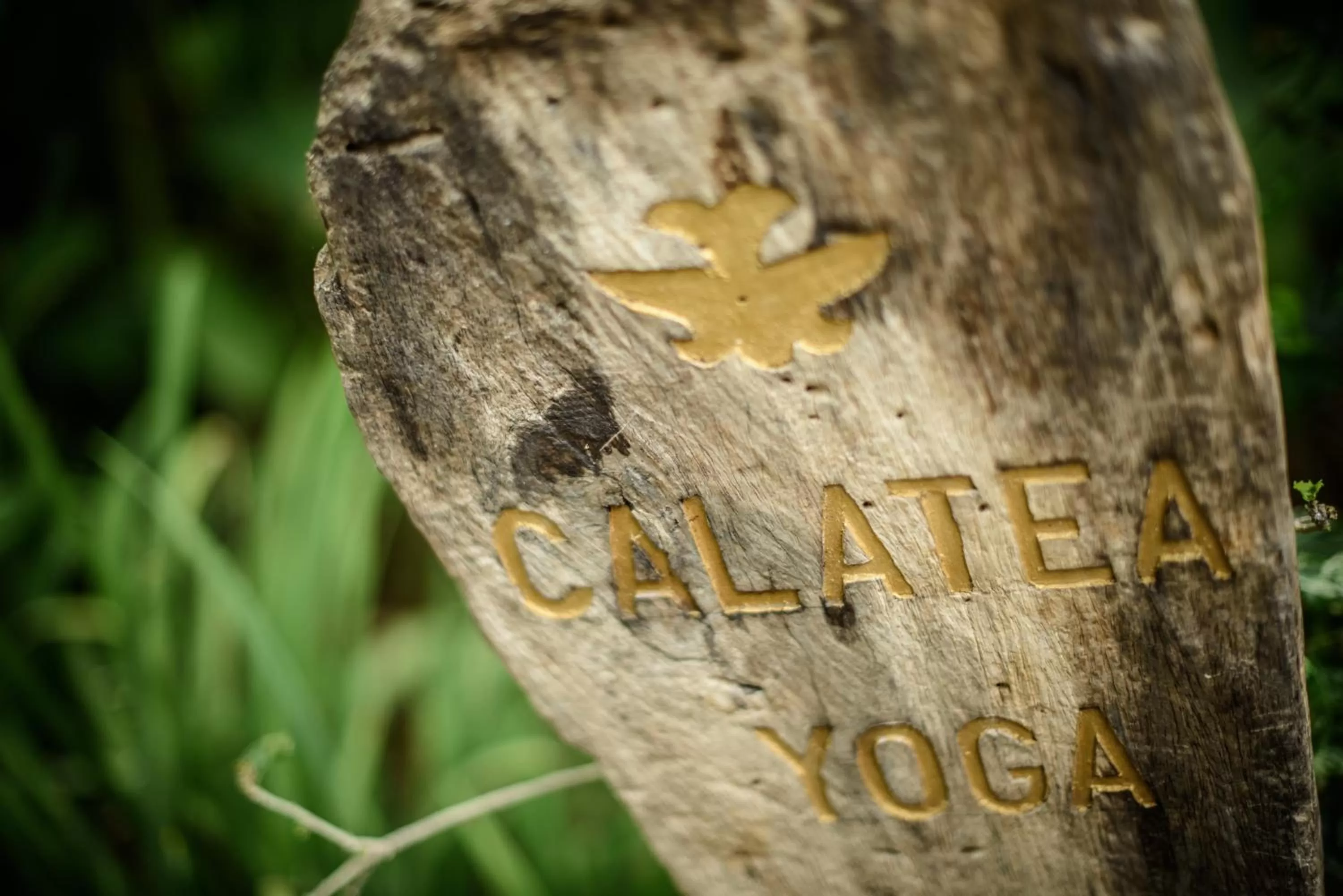 Property logo or sign in Cala Luna Boutique Hotel & Villas