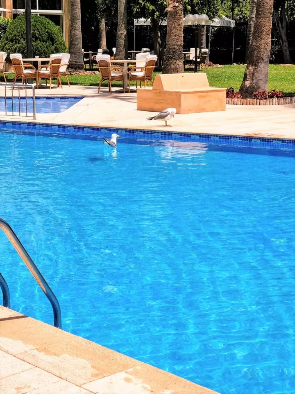 Swimming pool in El Oumnia Puerto & Spa