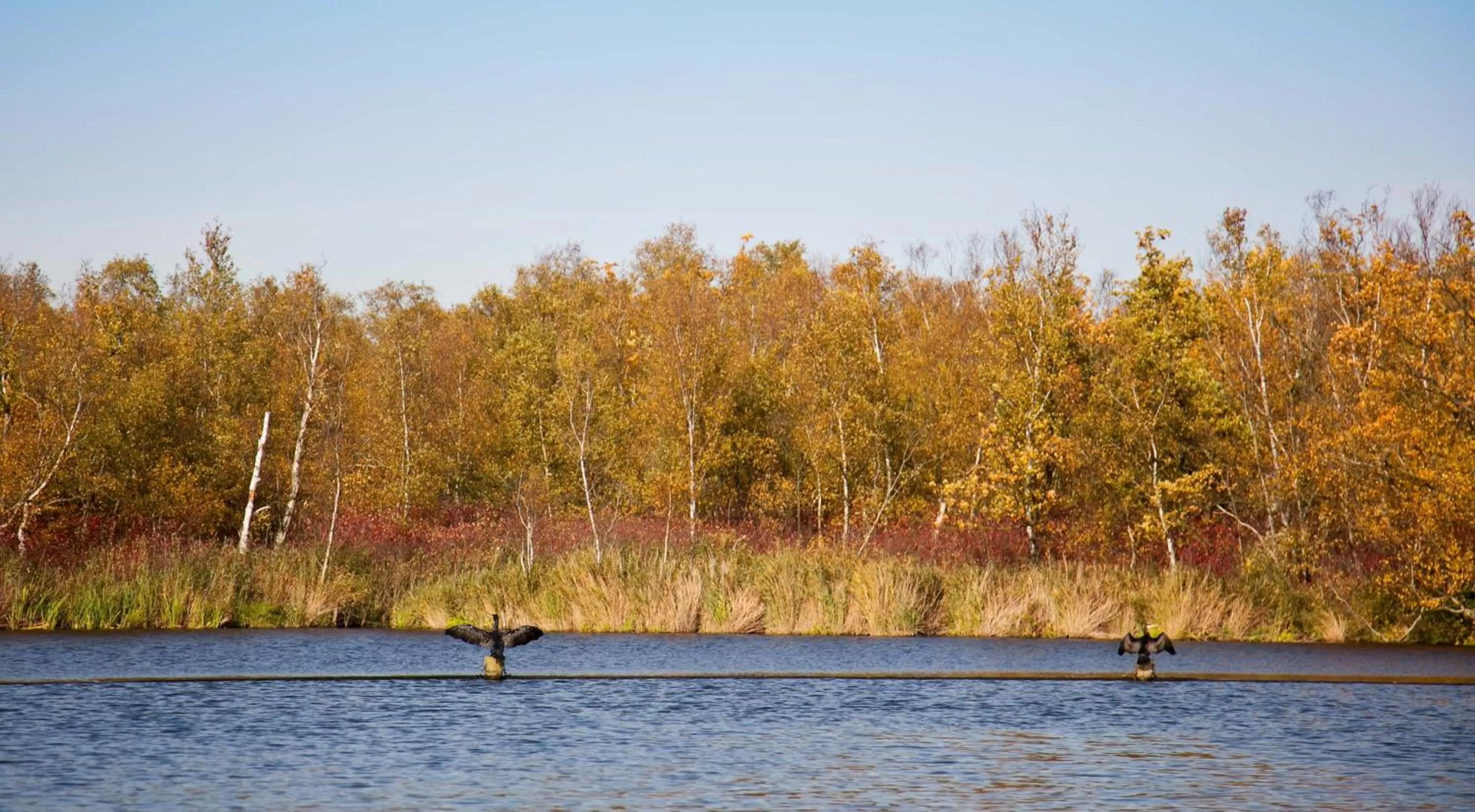 Area and facilities in Boutique Hotel Chariot - Amsterdam Schiphol Airport