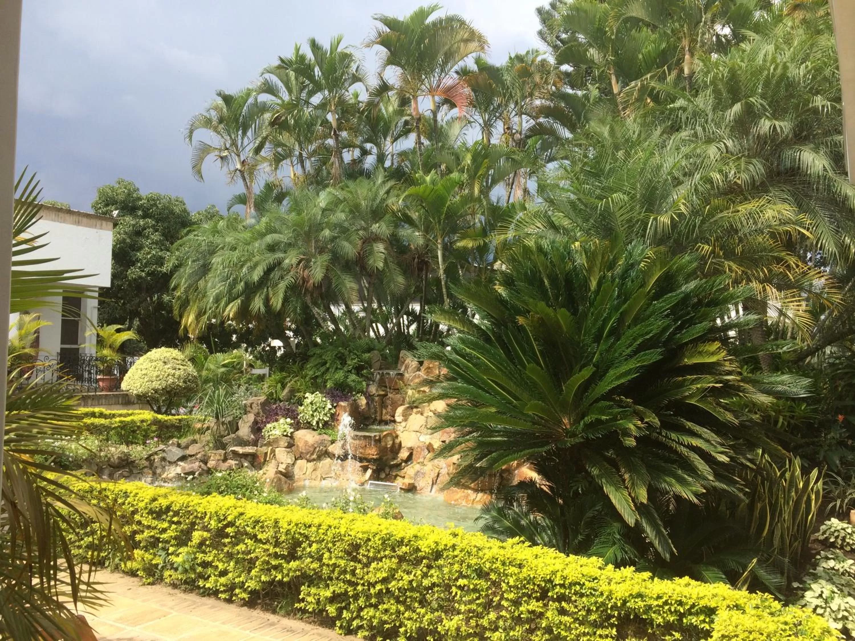 Garden in Hotel Boutique Villa Casuarinas