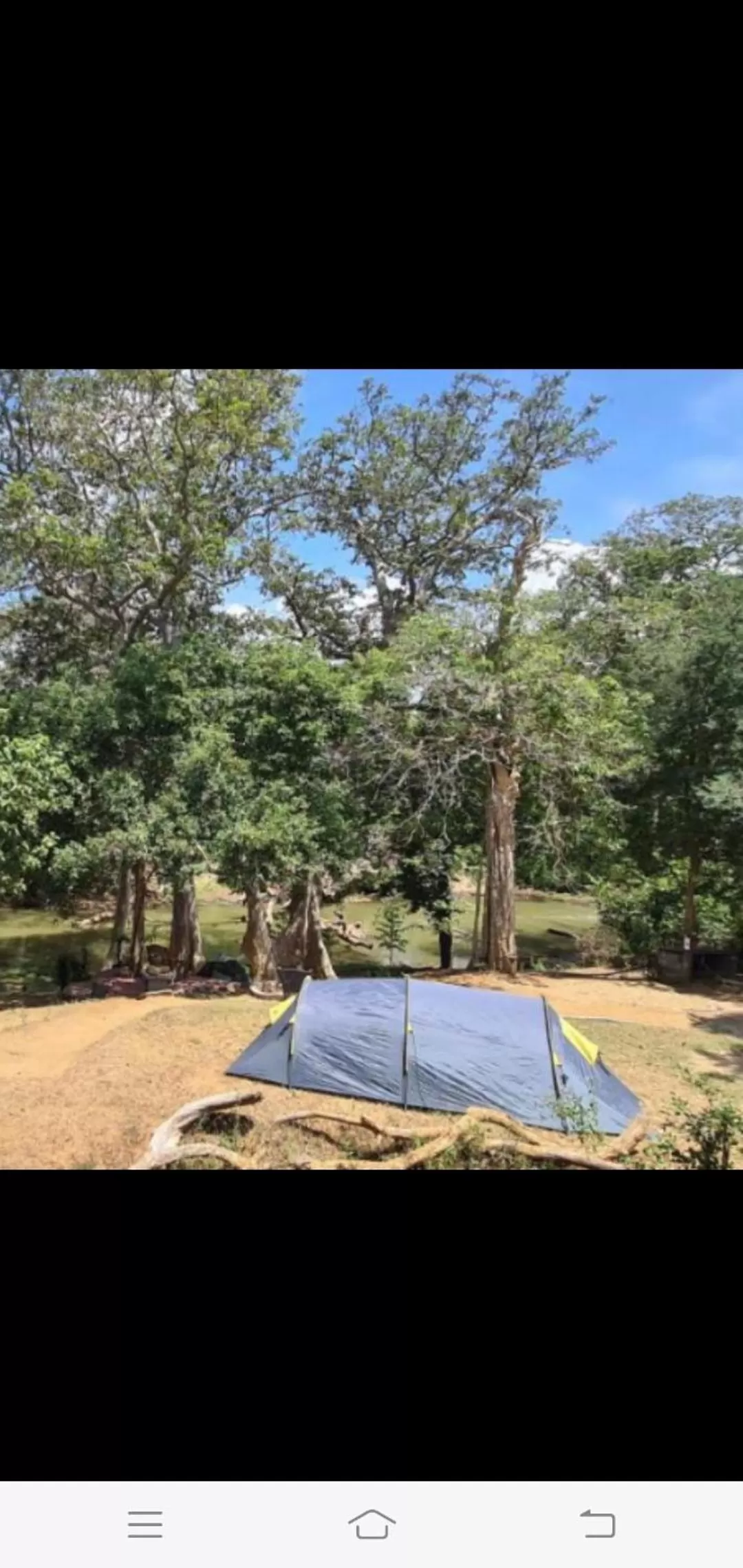 Swimming Pool in Jungle river humbhaha hostel