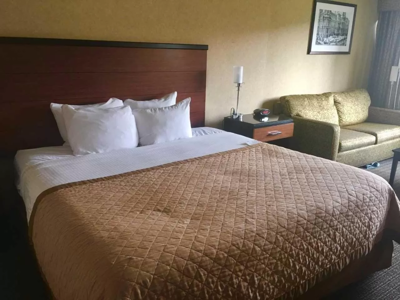 Bedroom, Bed in Quality Hotel Philadelphia Airport