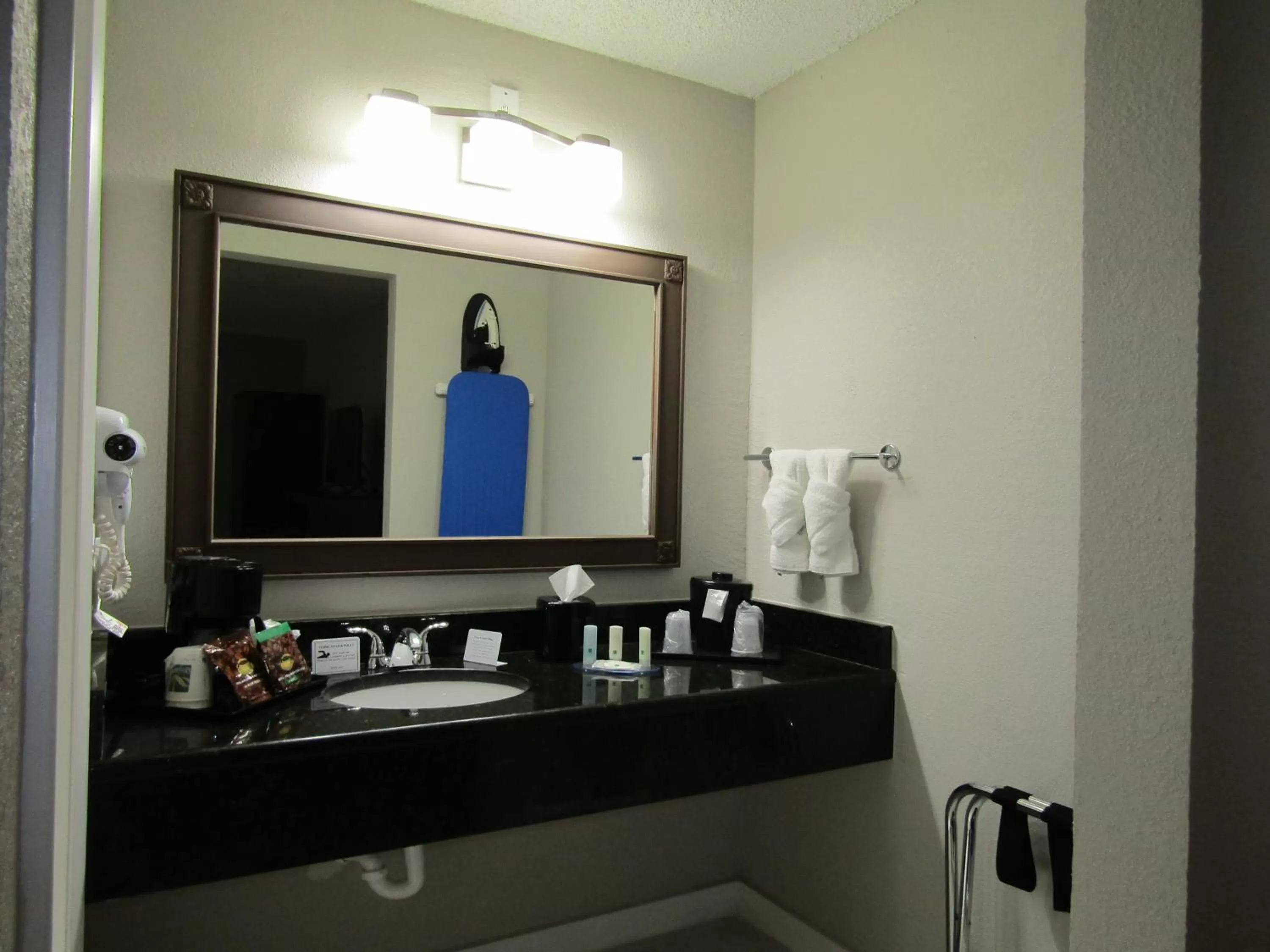 Standard King Room - Non-Smoking  in Quality Inn & Suites Kissimmee by The Lake
