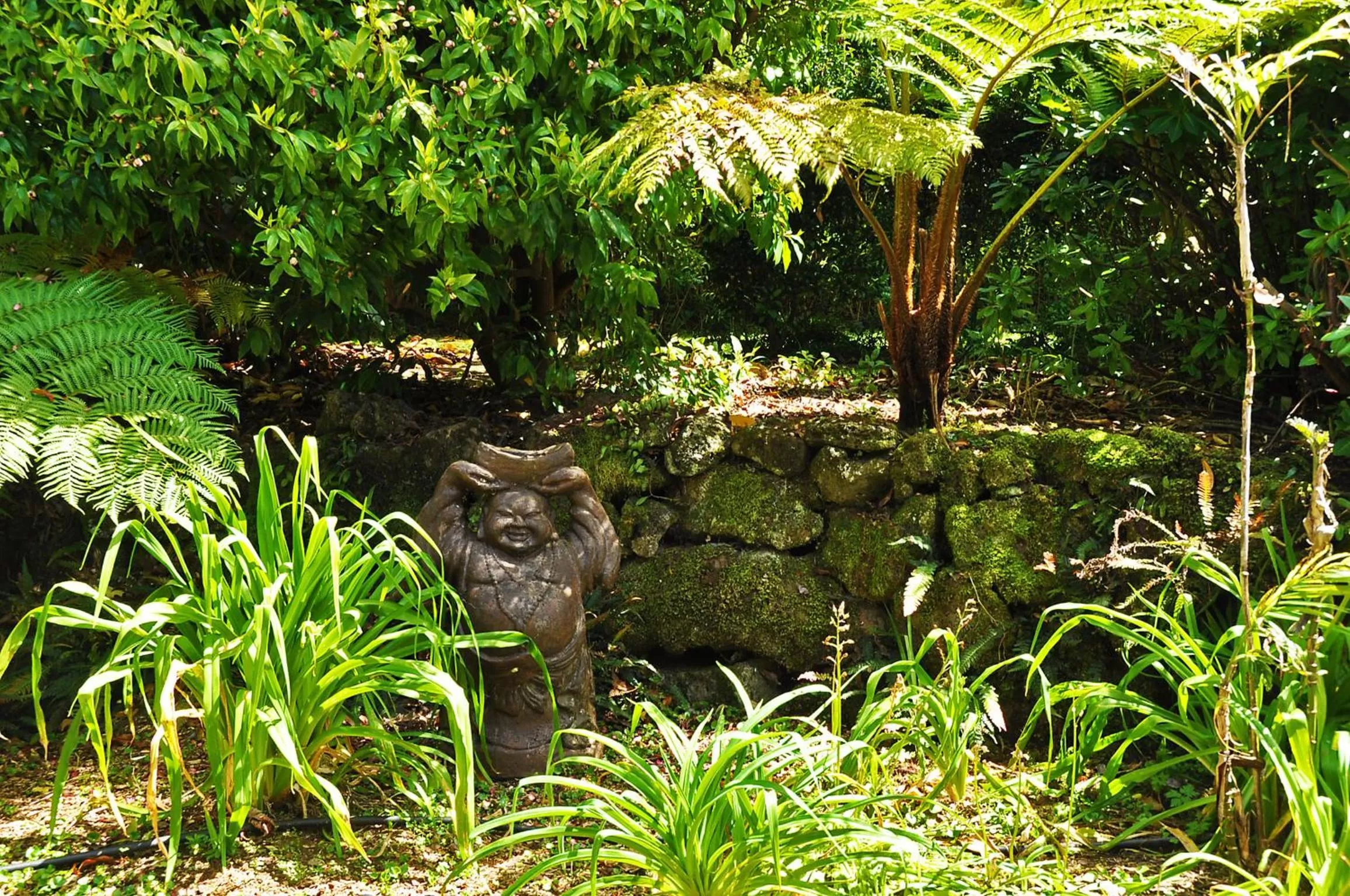 Garden in Moon Gate Villa
