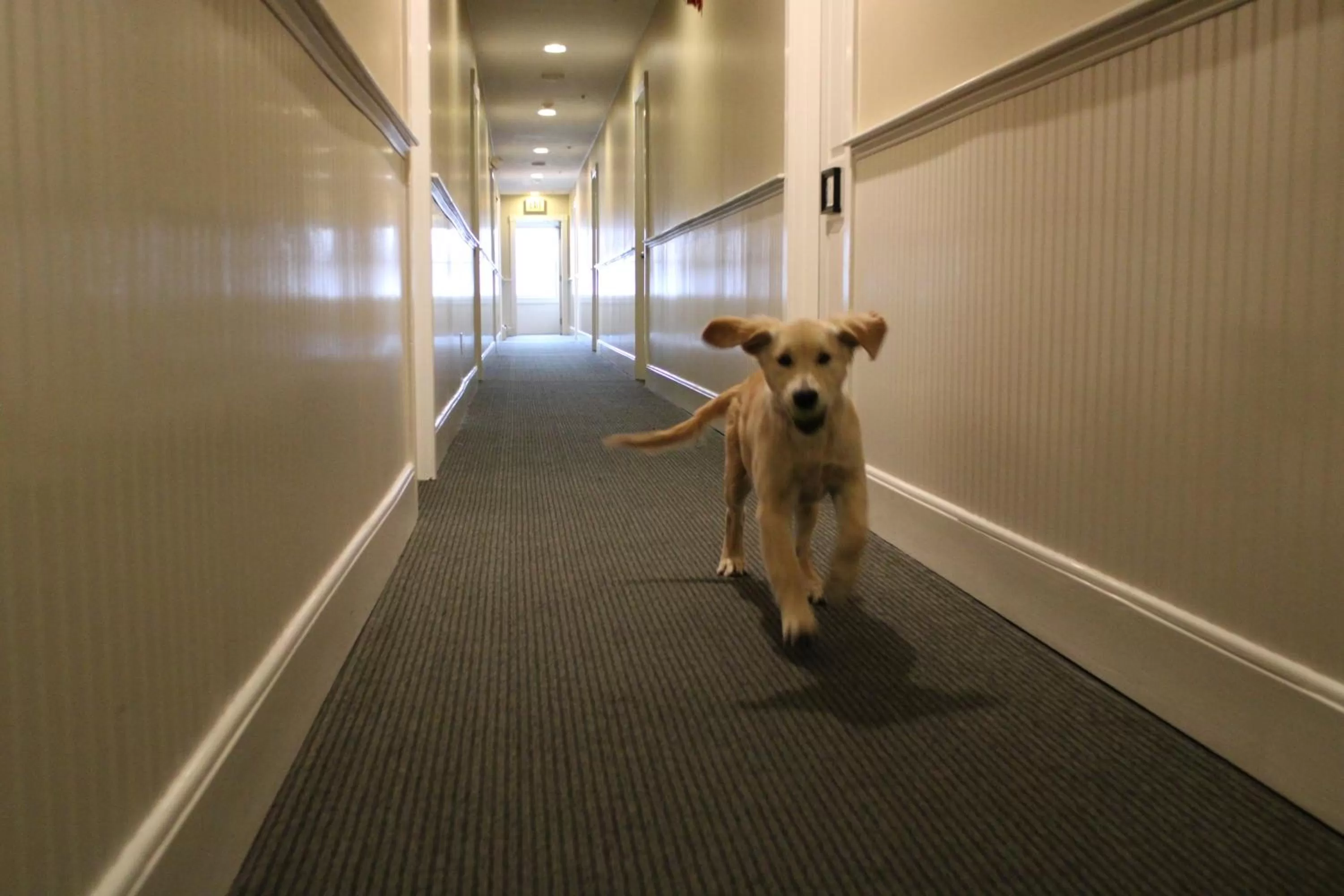 Patio in Pilgrim House